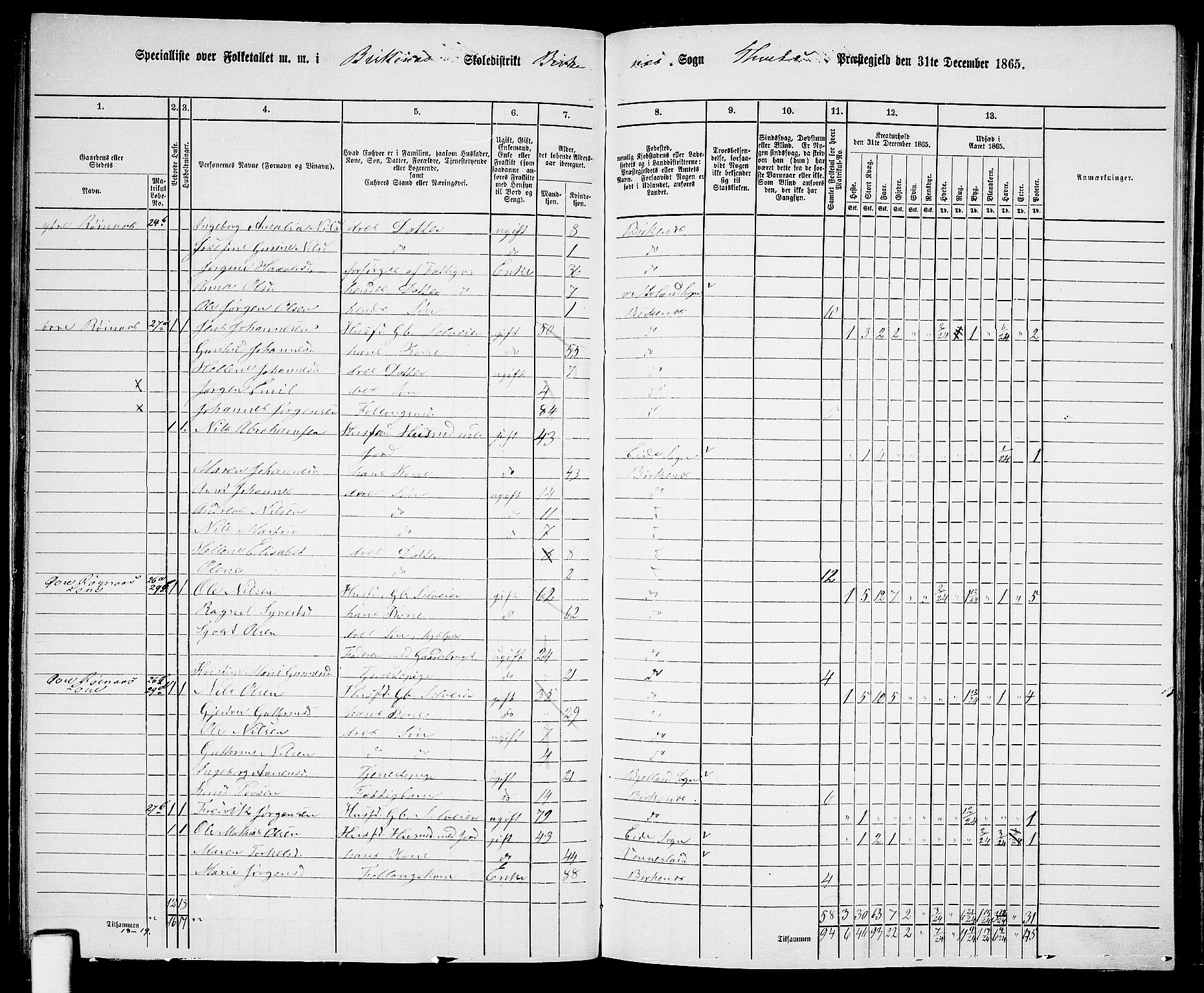 RA, 1865 census for Tveit, 1865, p. 100