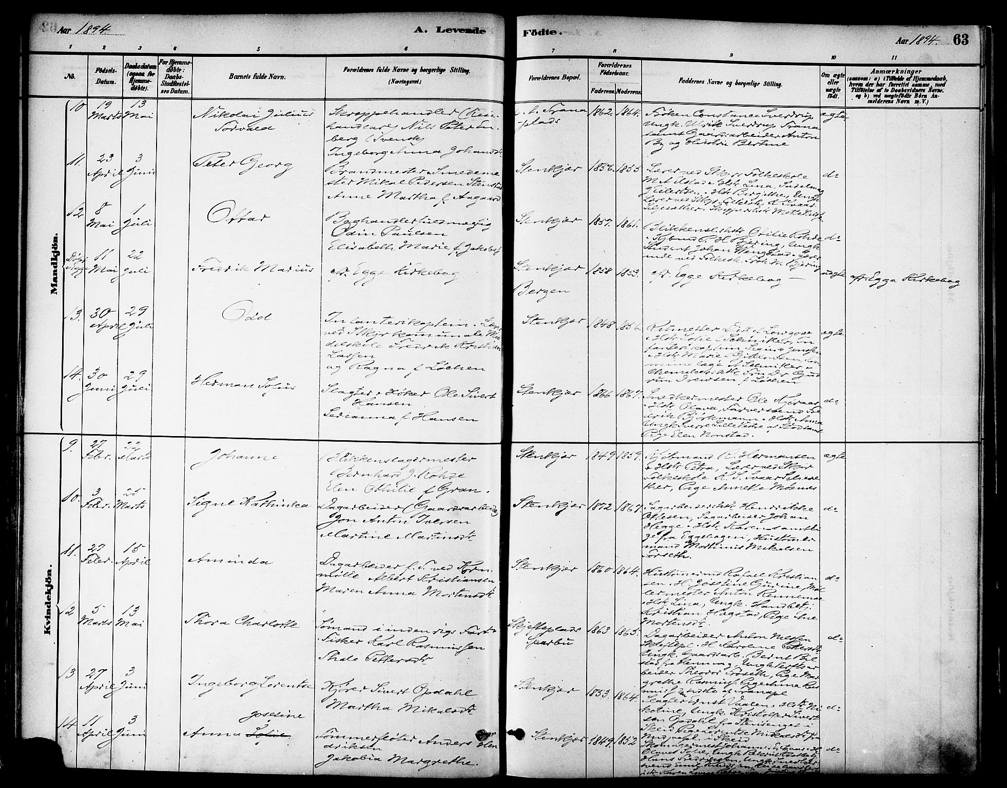 Ministerialprotokoller, klokkerbøker og fødselsregistre - Nord-Trøndelag, SAT/A-1458/739/L0371: Parish register (official) no. 739A03, 1881-1895, p. 63