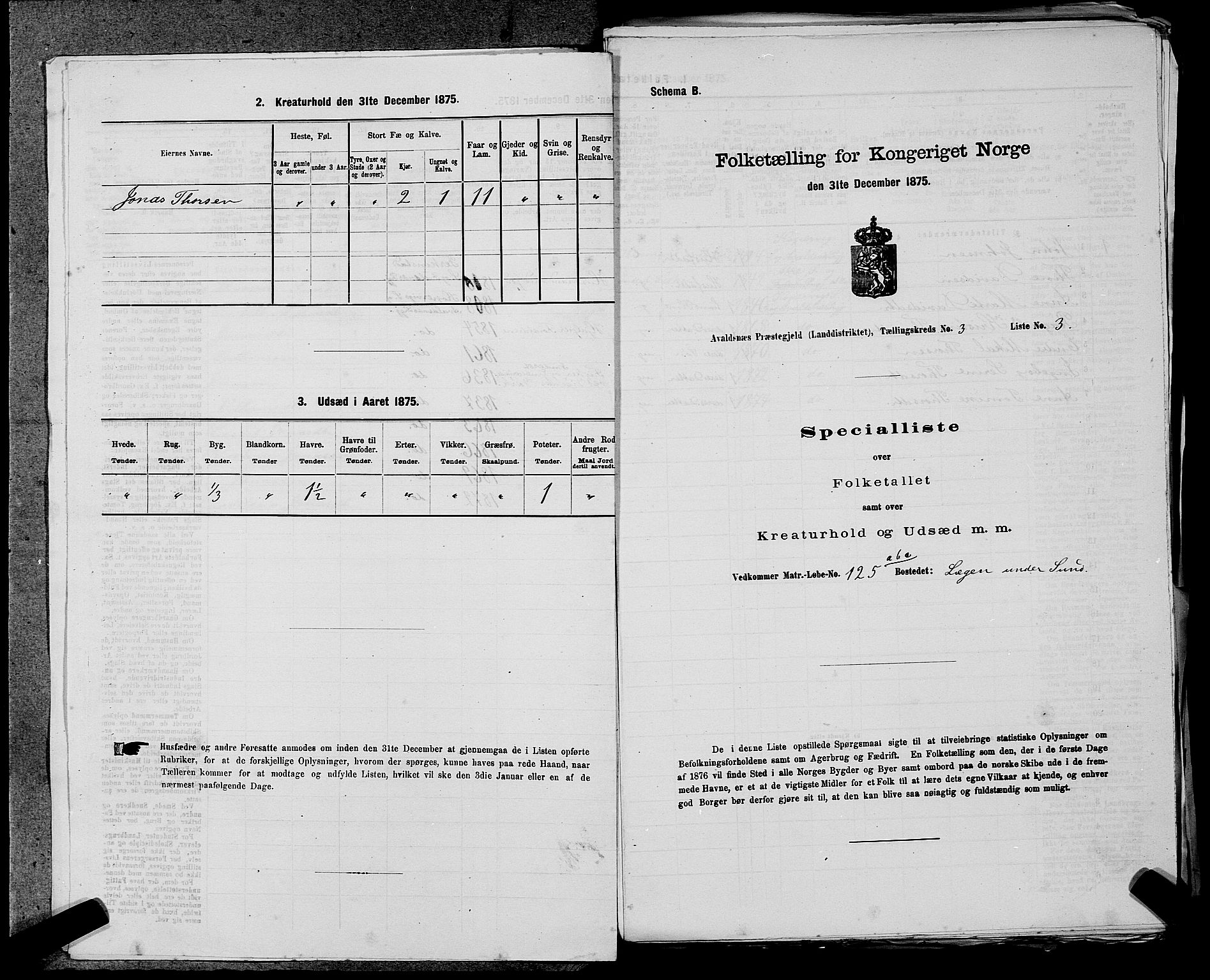 SAST, 1875 census for 1147L Avaldsnes/Avaldsnes og Kopervik, 1875, p. 361