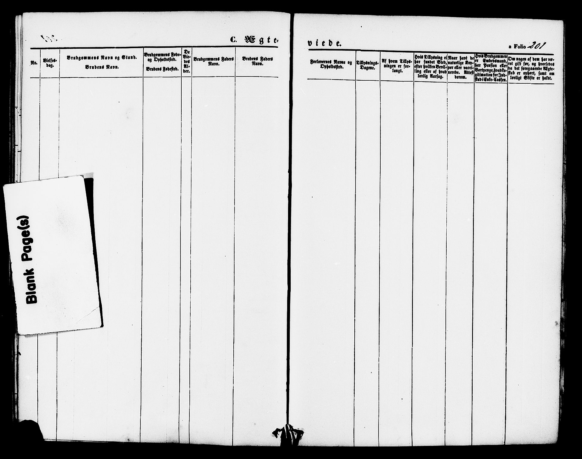 Hjelmeland sokneprestkontor, SAST/A-101843/01/IV/L0011: Parish register (official) no. A 11, 1861-1878, p. 201