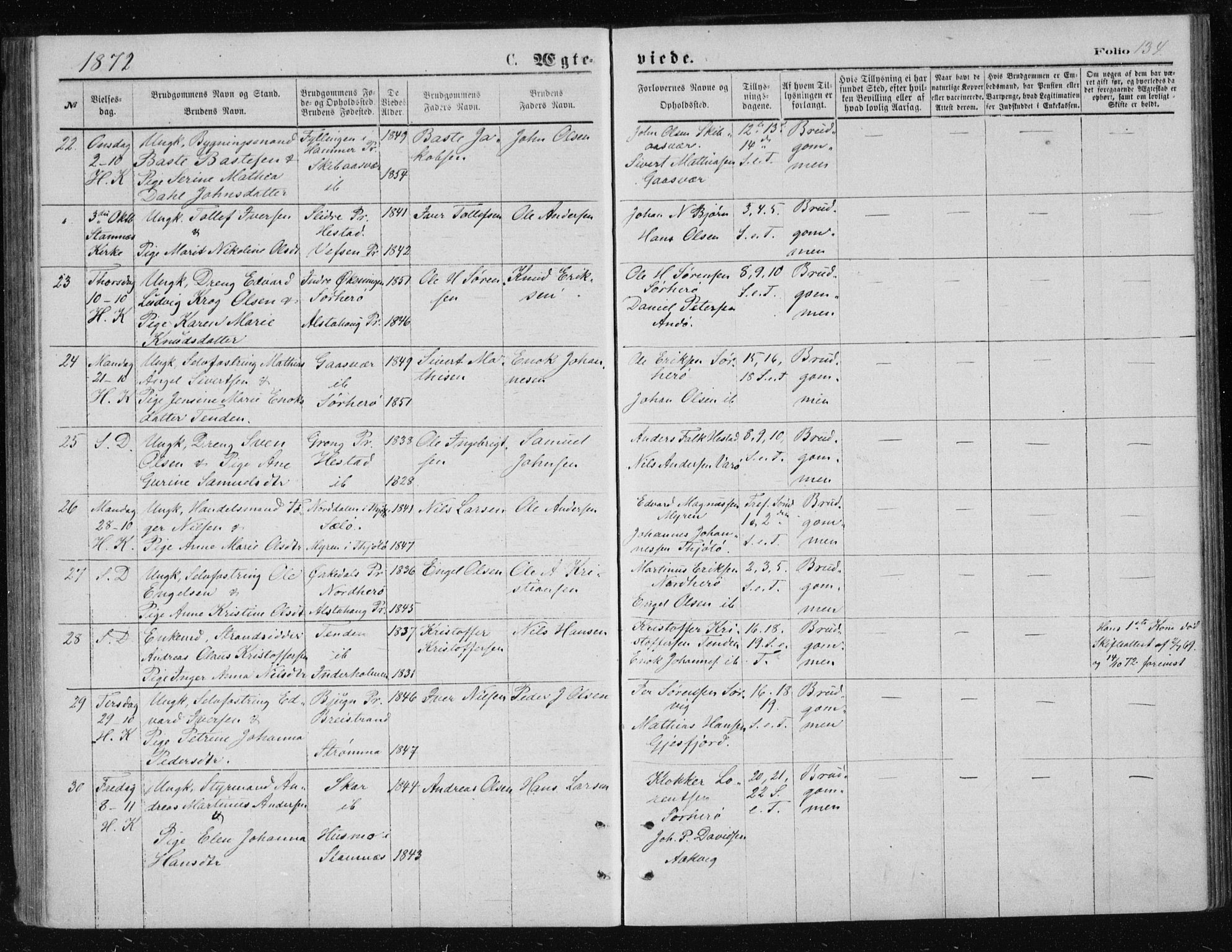 Ministerialprotokoller, klokkerbøker og fødselsregistre - Nordland, AV/SAT-A-1459/834/L0506: Parish register (official) no. 834A04, 1872-1878, p. 134