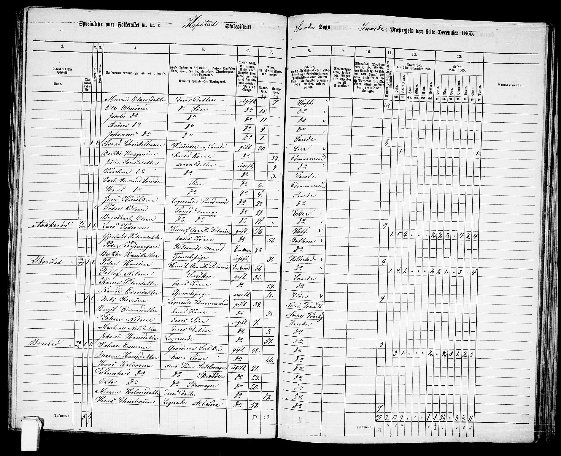 RA, 1865 census for Sande, 1865, p. 61