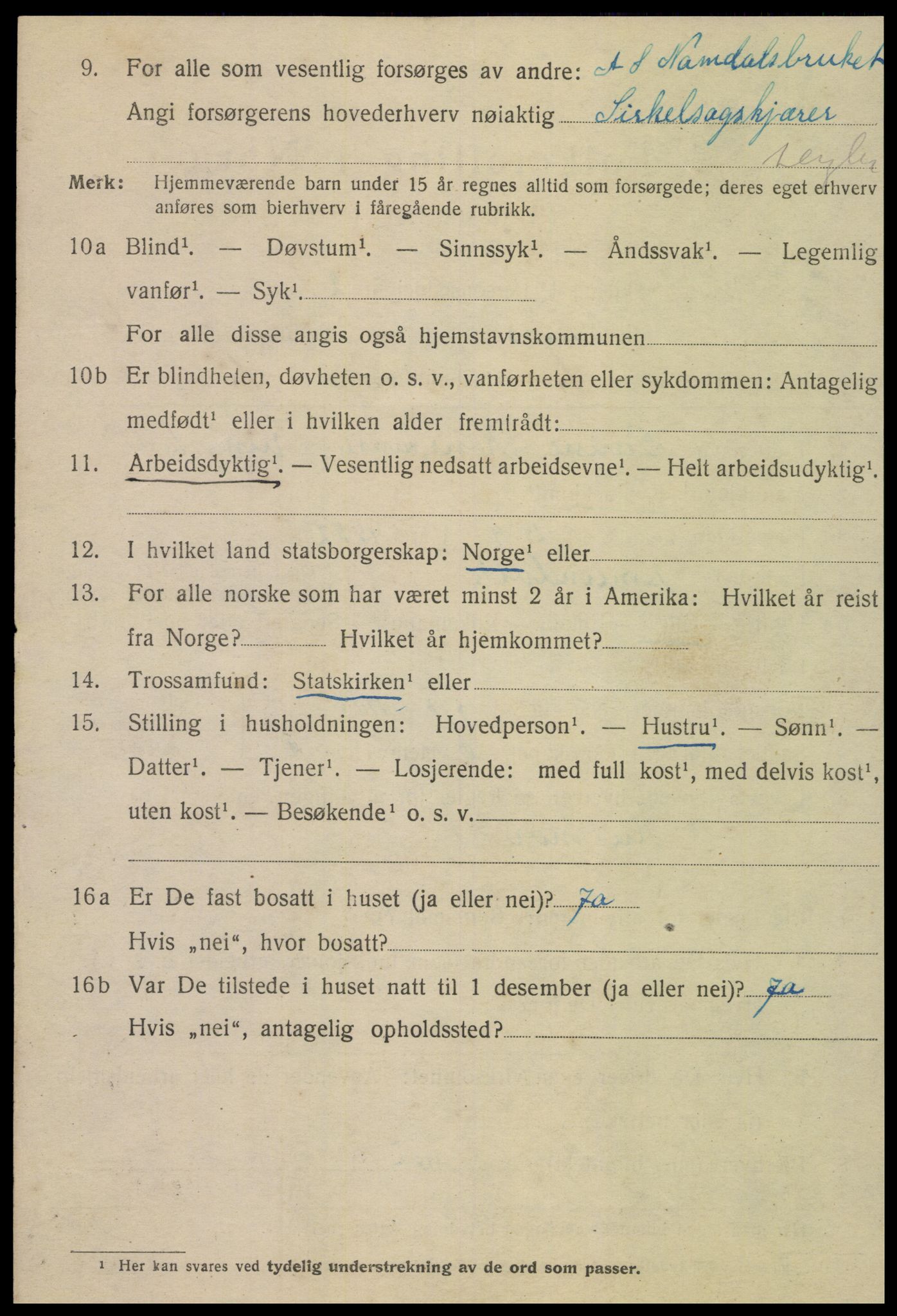 SAT, 1920 census for Namsos, 1920, p. 6334