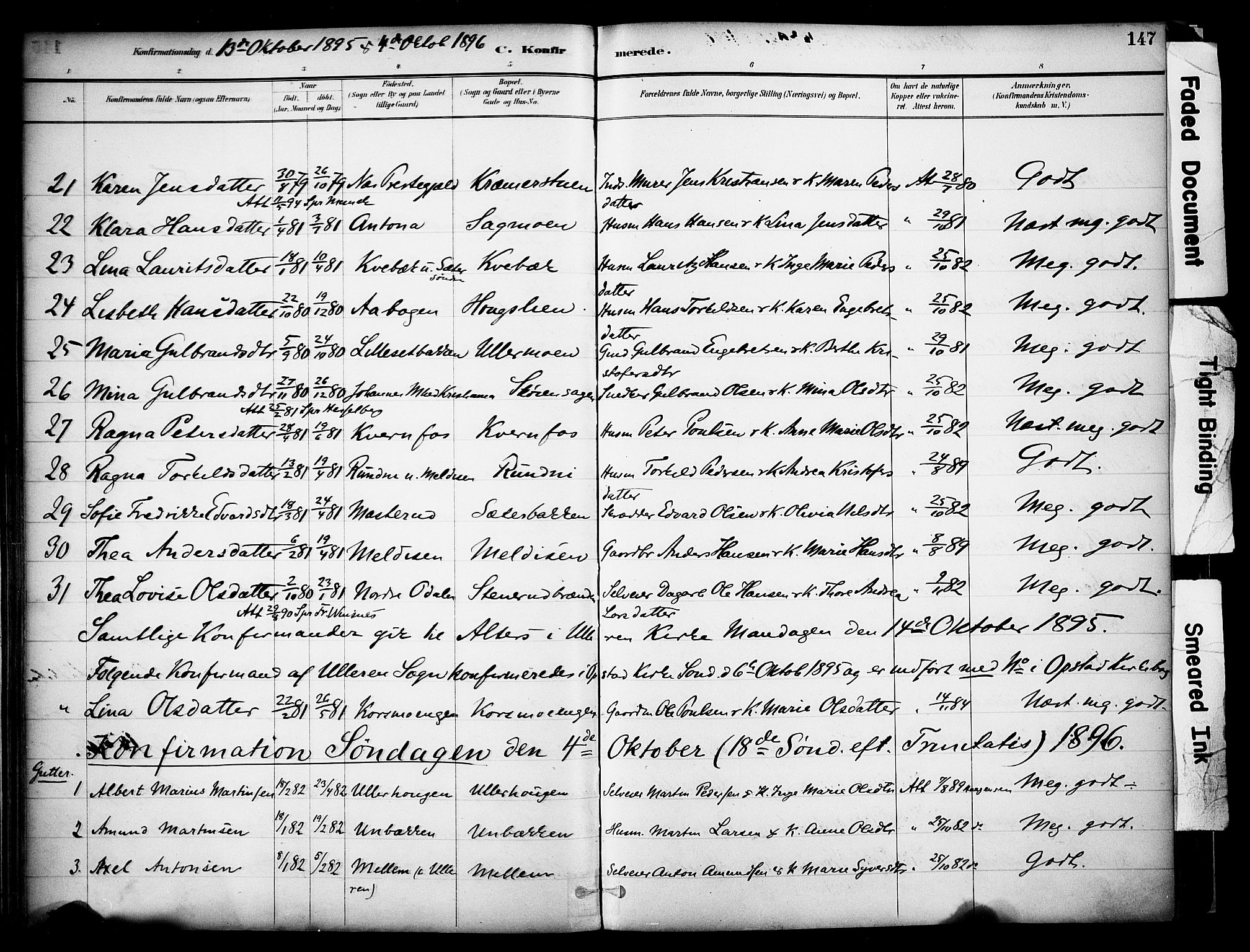 Sør-Odal prestekontor, AV/SAH-PREST-030/H/Ha/Haa/L0008: Parish register (official) no. 8, 1886-1922, p. 147