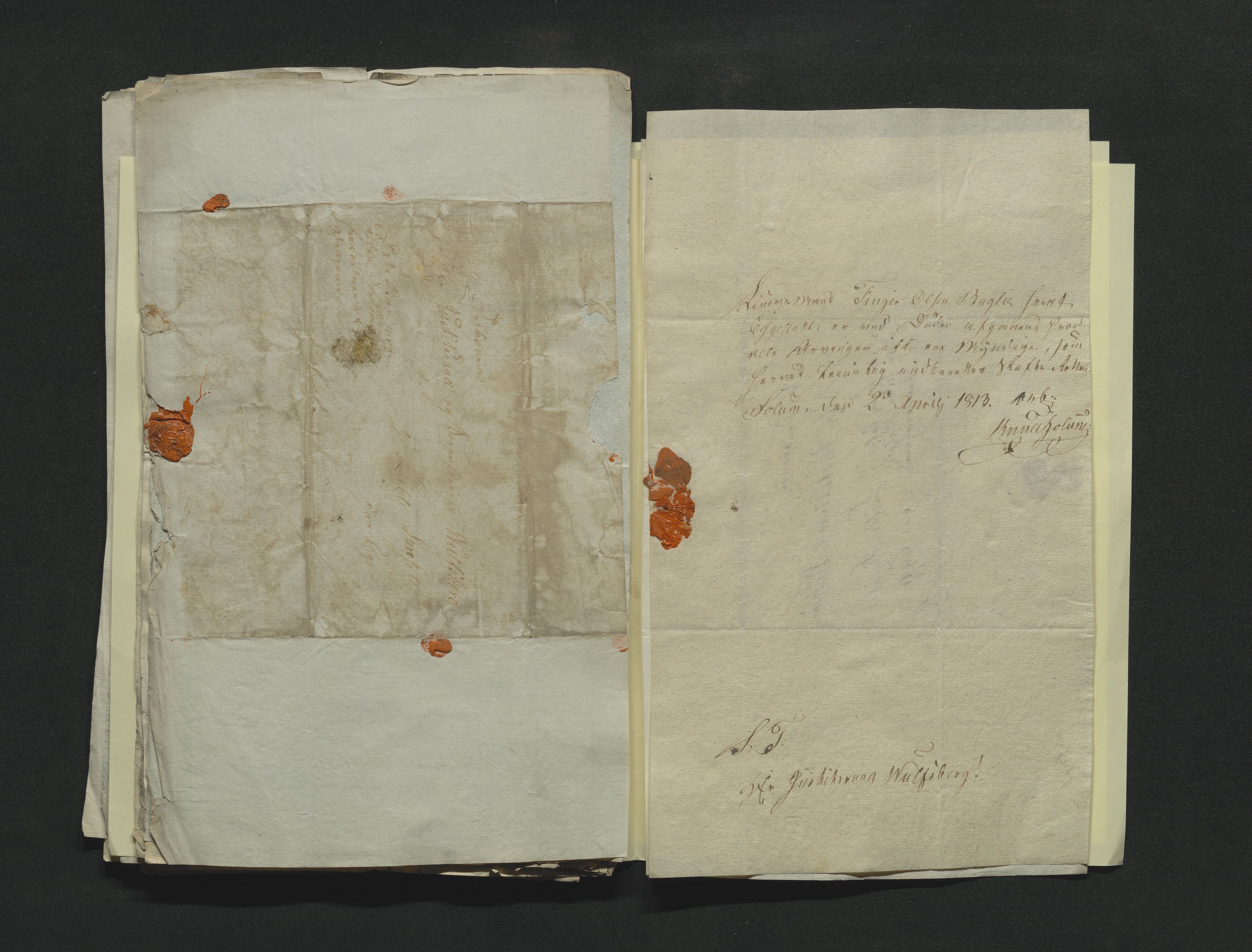 Eiker, Modum og Sigdal sorenskriveri, AV/SAKO-A-123/H/Ha/Hab/L0001: Dødsfallsmeldinger, 1812-1822, p. 36