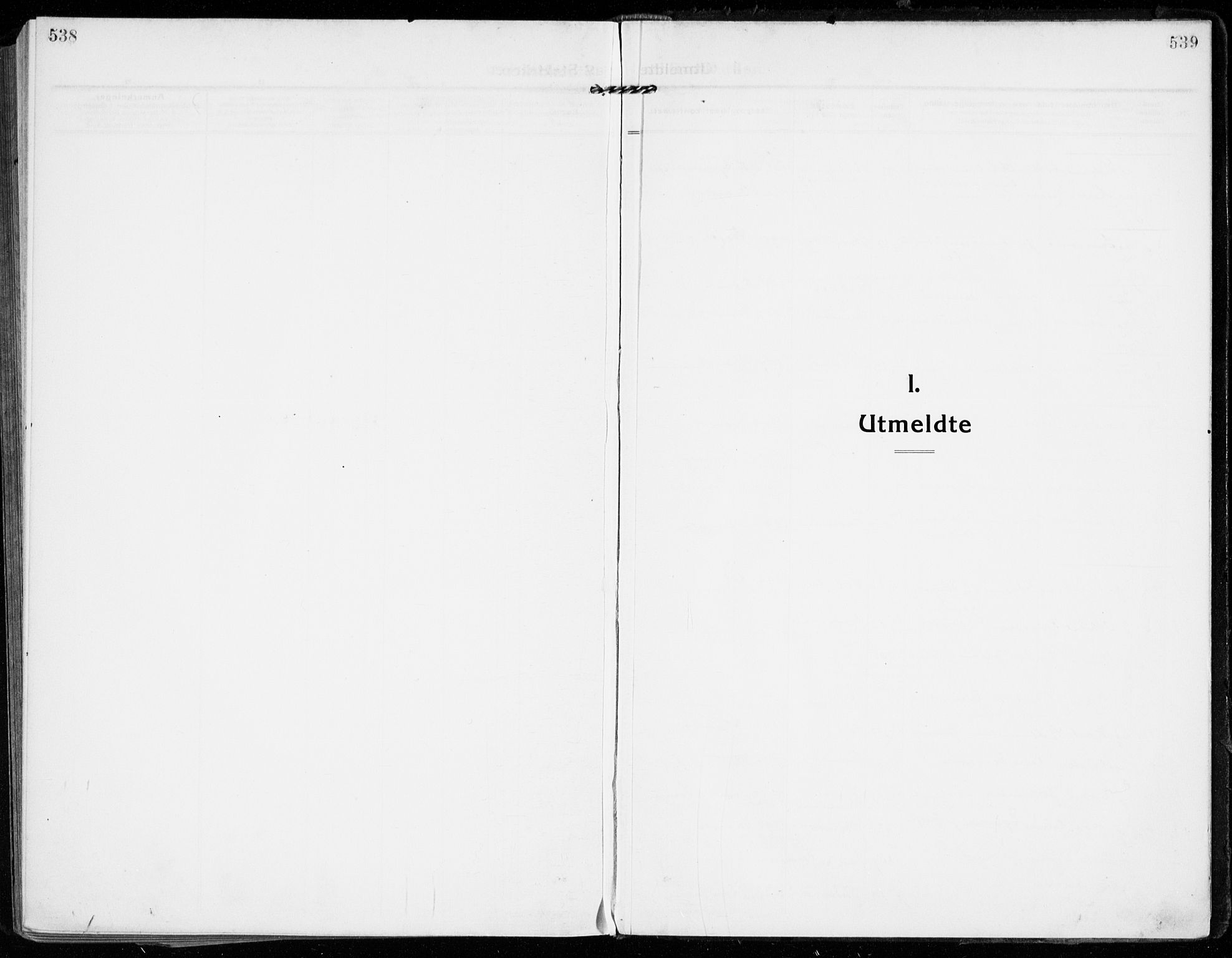 Strømsgodset kirkebøker, AV/SAKO-A-324/F/Fa/L0002: Parish register (official) no. 2, 1910-1920, p. 538-539
