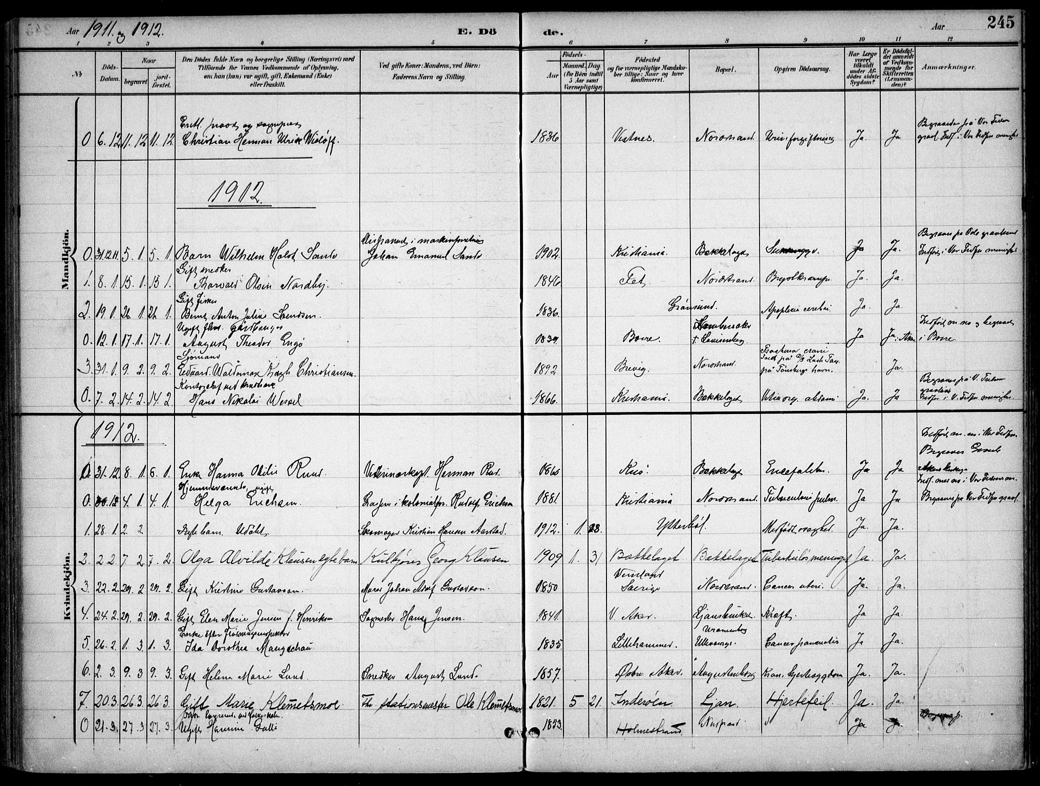 Nordstrand prestekontor Kirkebøker, SAO/A-10362a/F/Fa/L0001: Parish register (official) no. I 1, 1900-1914, p. 245