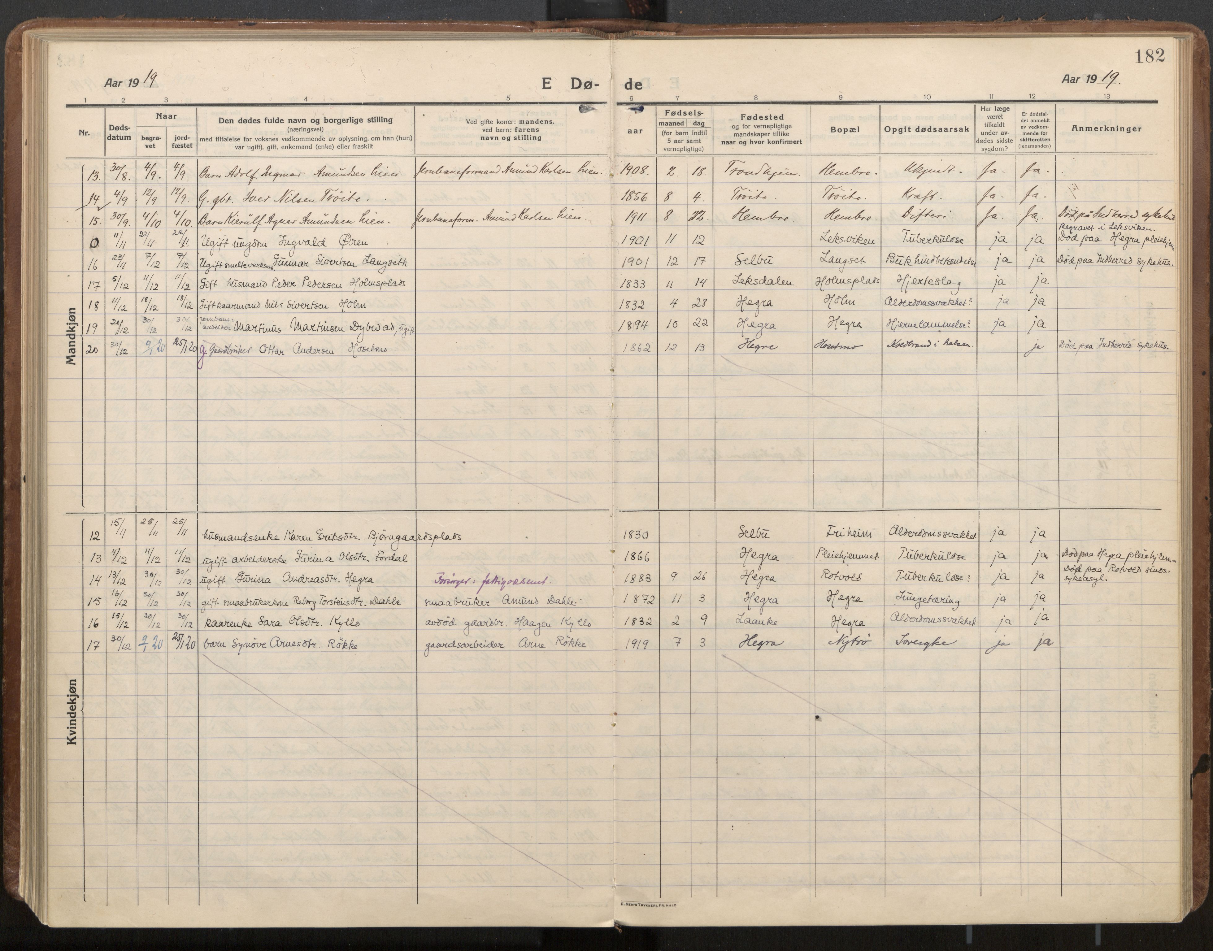 Ministerialprotokoller, klokkerbøker og fødselsregistre - Nord-Trøndelag, AV/SAT-A-1458/703/L0037: Parish register (official) no. 703A10, 1915-1932, p. 182