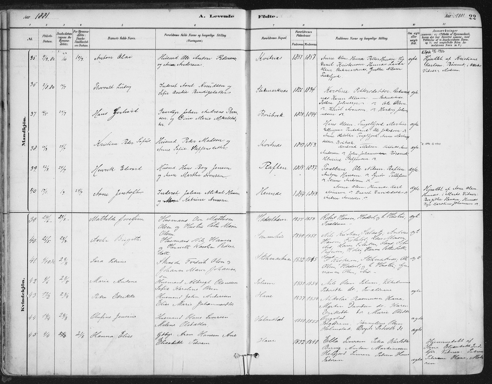 Ministerialprotokoller, klokkerbøker og fødselsregistre - Nordland, AV/SAT-A-1459/888/L1244: Parish register (official) no. 888A10, 1880-1890, p. 22