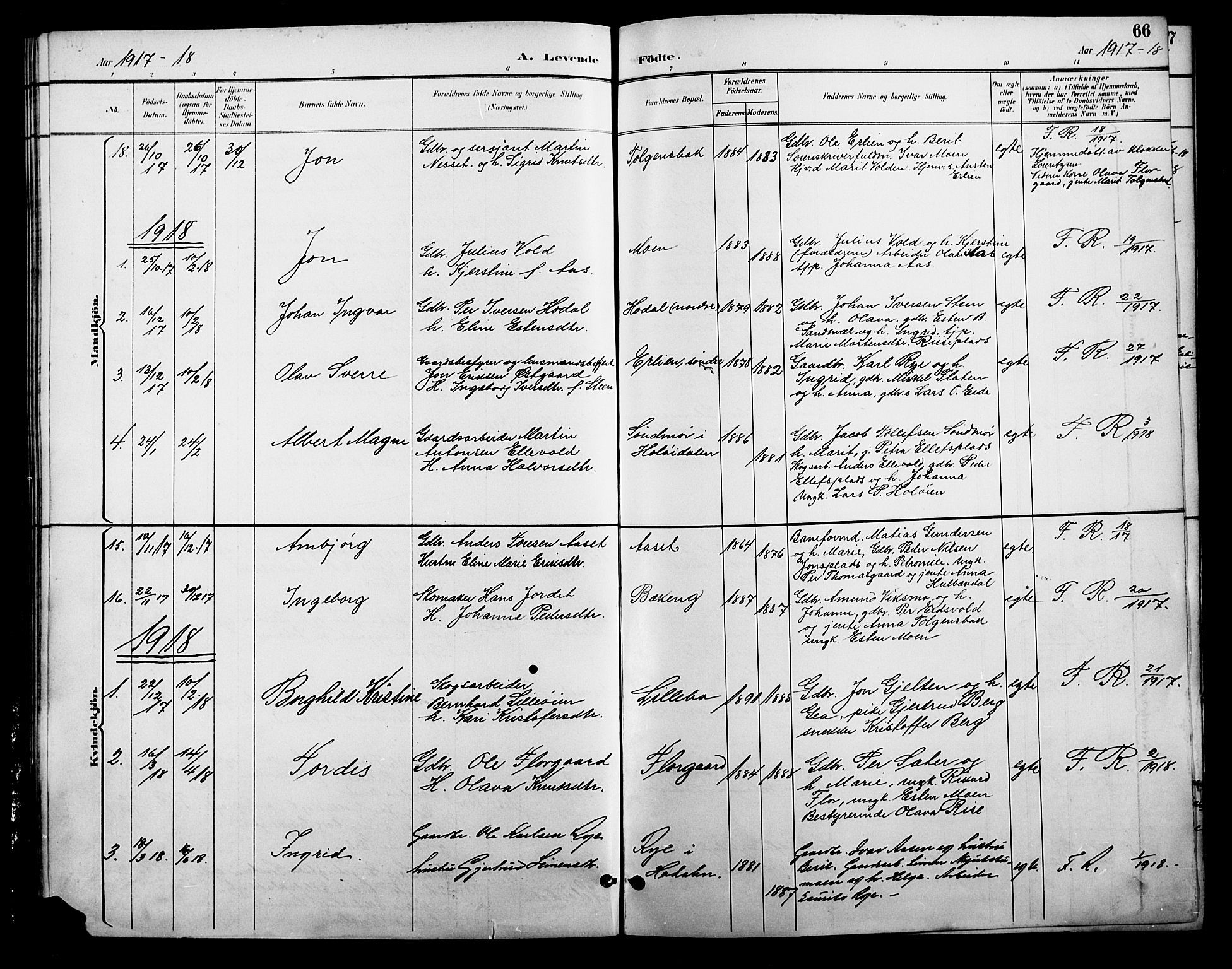 Tolga prestekontor, AV/SAH-PREST-062/L/L0009: Parish register (copy) no. 9, 1892-1919, p. 66