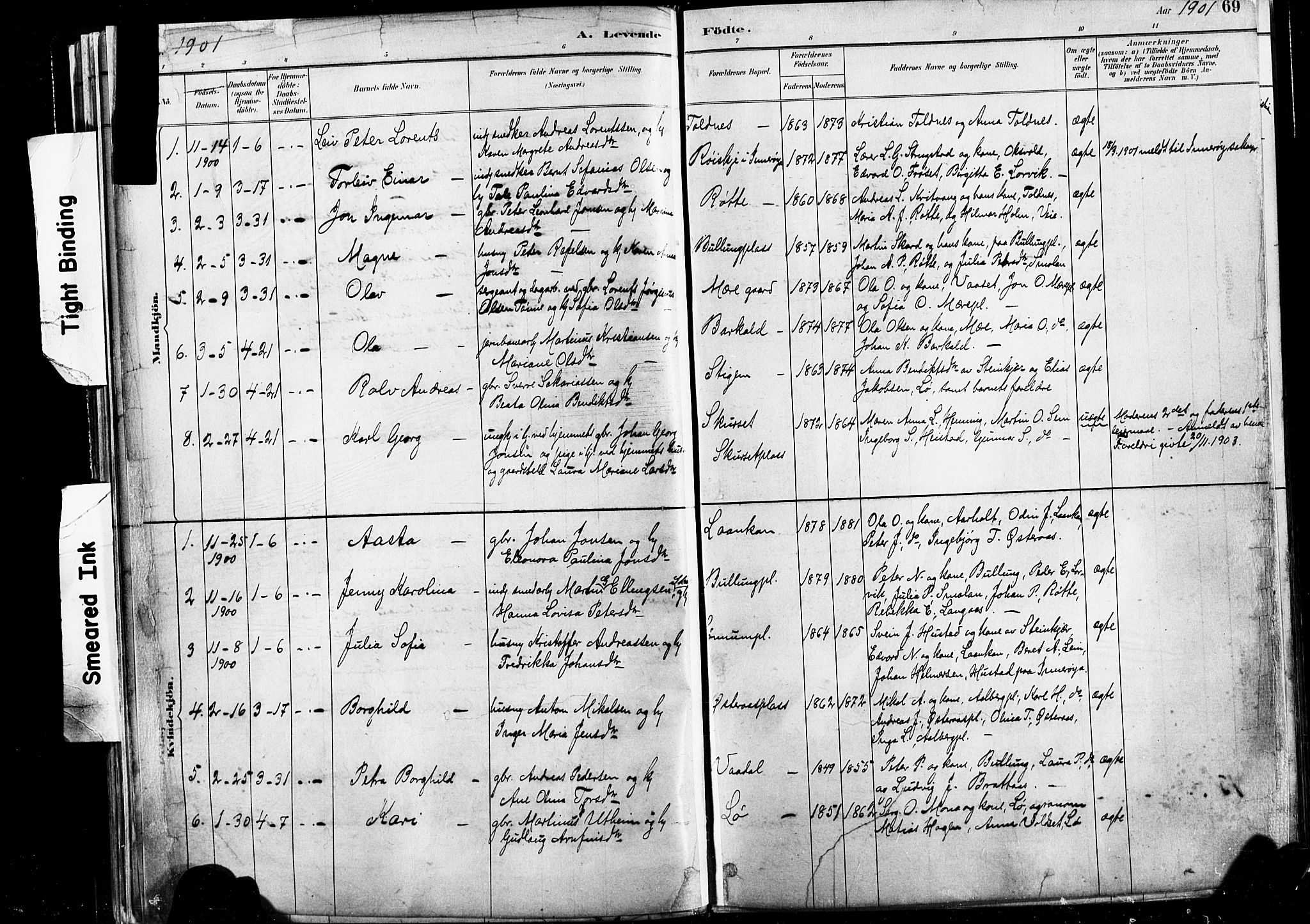 Ministerialprotokoller, klokkerbøker og fødselsregistre - Nord-Trøndelag, SAT/A-1458/735/L0351: Parish register (official) no. 735A10, 1884-1908, p. 69