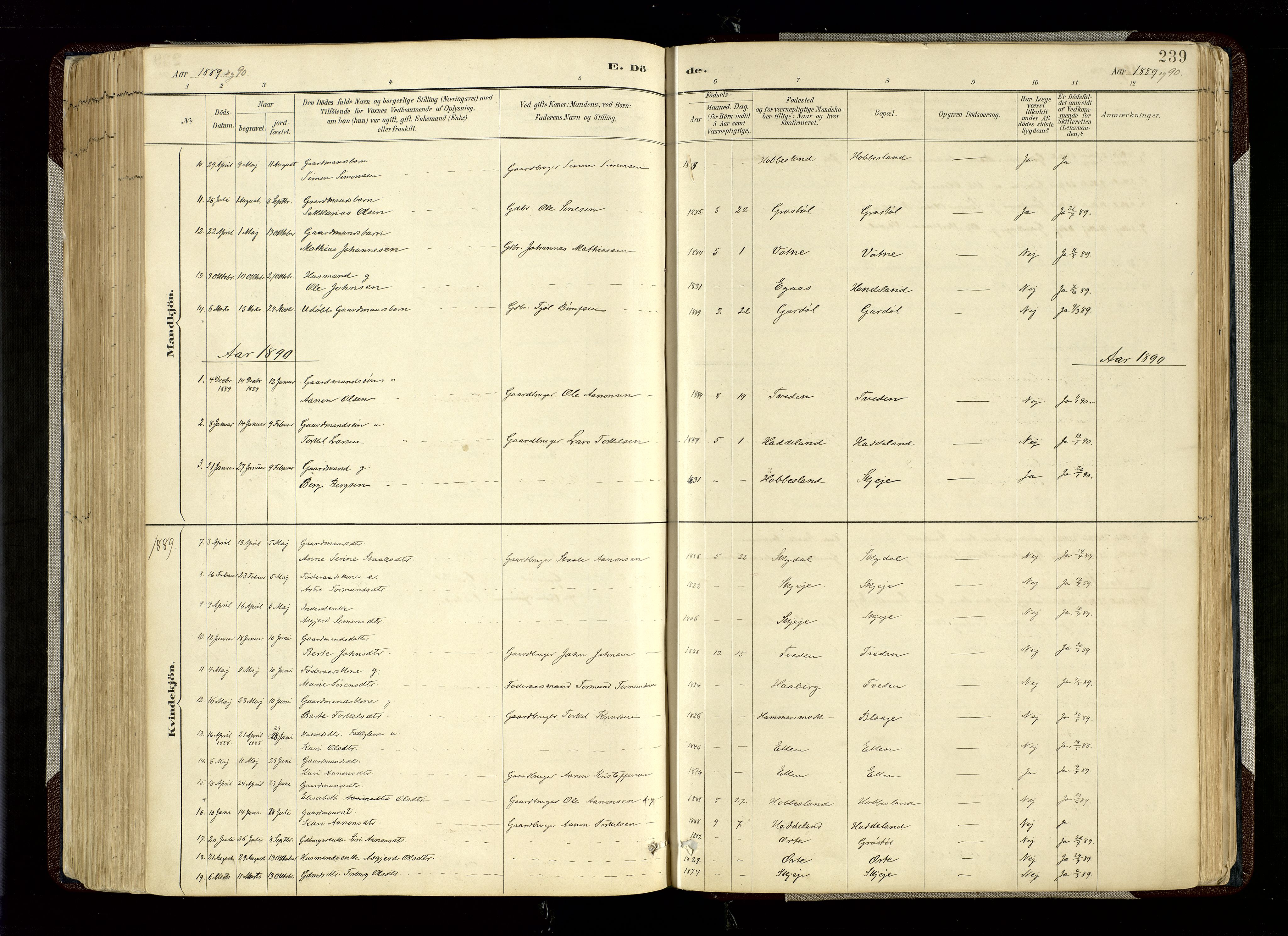 Hægebostad sokneprestkontor, SAK/1111-0024/F/Fa/Fab/L0004: Parish register (official) no. A 4, 1887-1929, p. 239