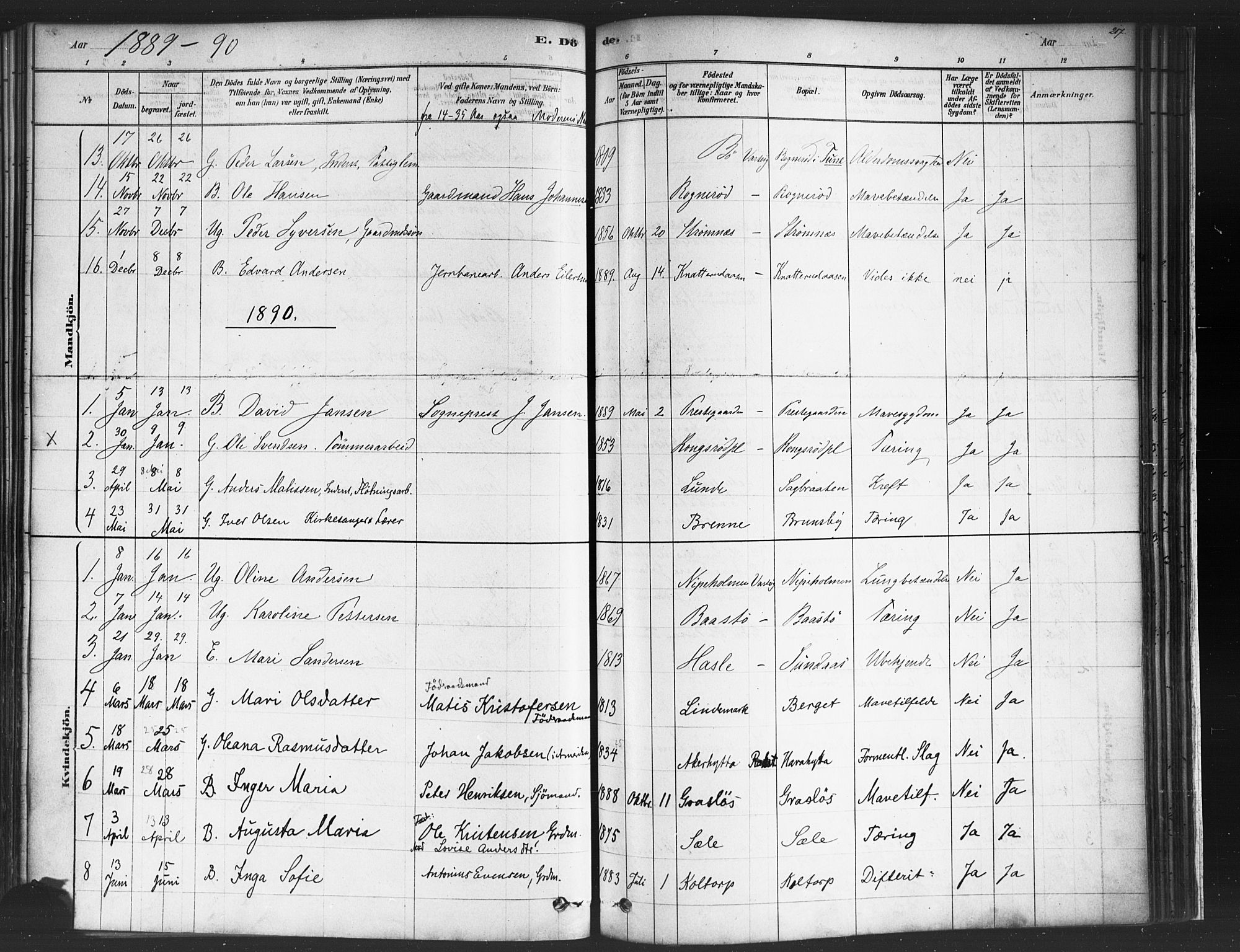 Varteig prestekontor Kirkebøker, SAO/A-10447a/F/Fa/L0002: Parish register (official) no. 2, 1878-1899, p. 217