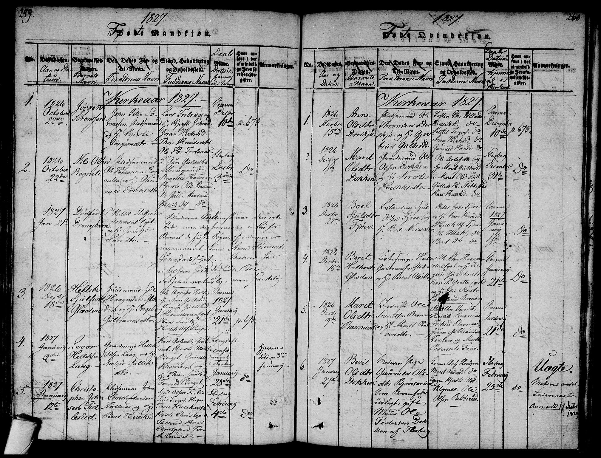 Flesberg kirkebøker, AV/SAKO-A-18/F/Fa/L0005: Parish register (official) no. I 5, 1816-1834, p. 259-260