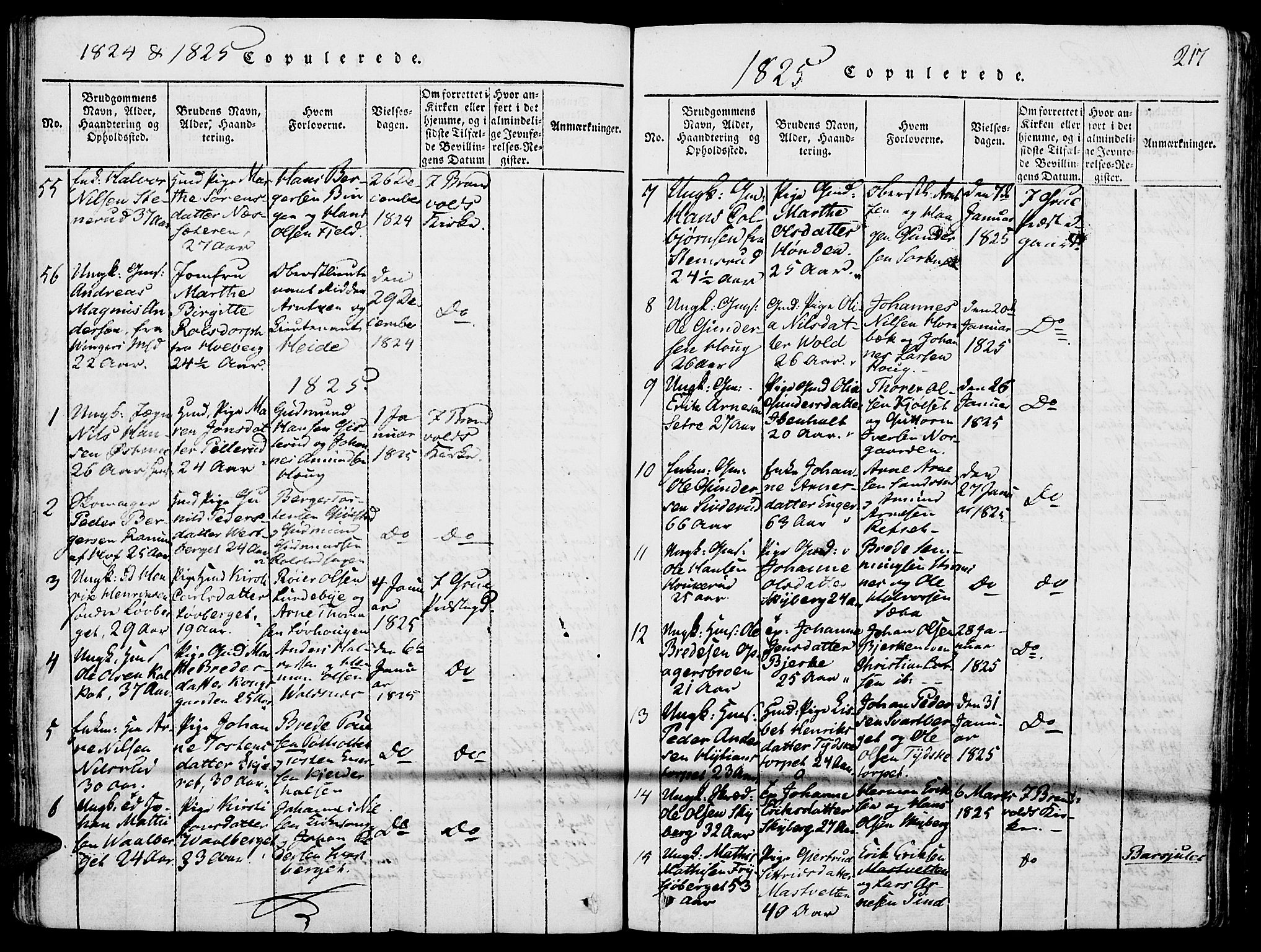 Grue prestekontor, AV/SAH-PREST-036/H/Ha/Haa/L0006: Parish register (official) no. 6, 1814-1830, p. 217