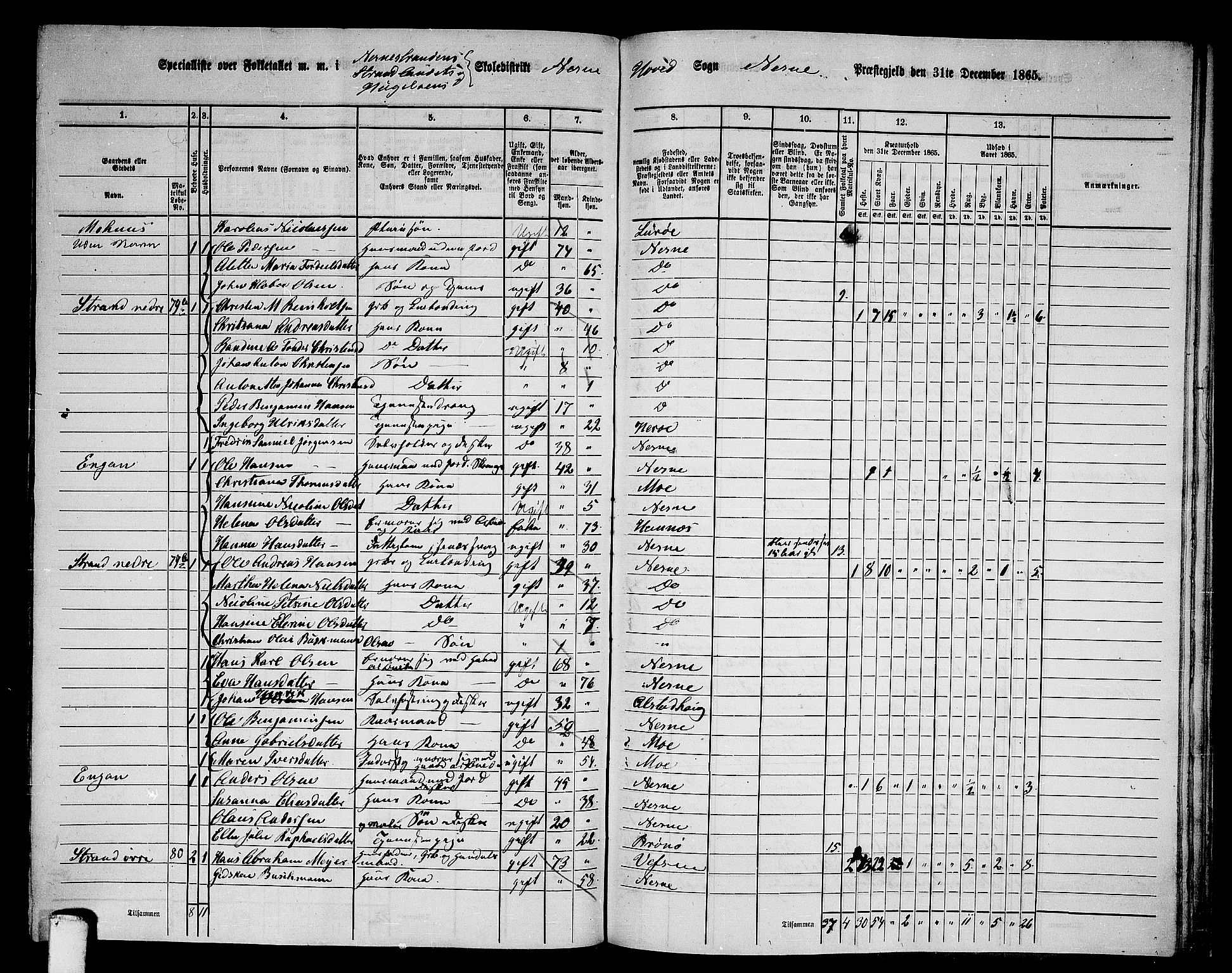 RA, 1865 census for Nesna, 1865, p. 125