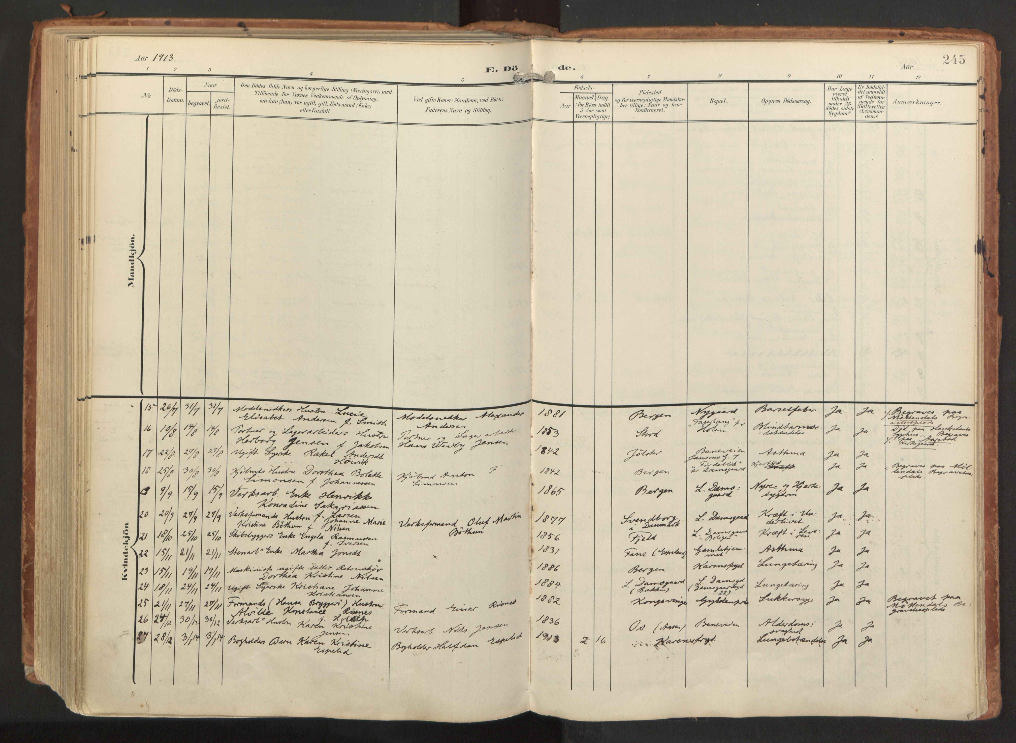 Laksevåg Sokneprestembete, AV/SAB-A-76501/H/Ha/Haa/Haaa/L0001: Parish register (official) no. A 1, 1903-1917, p. 245