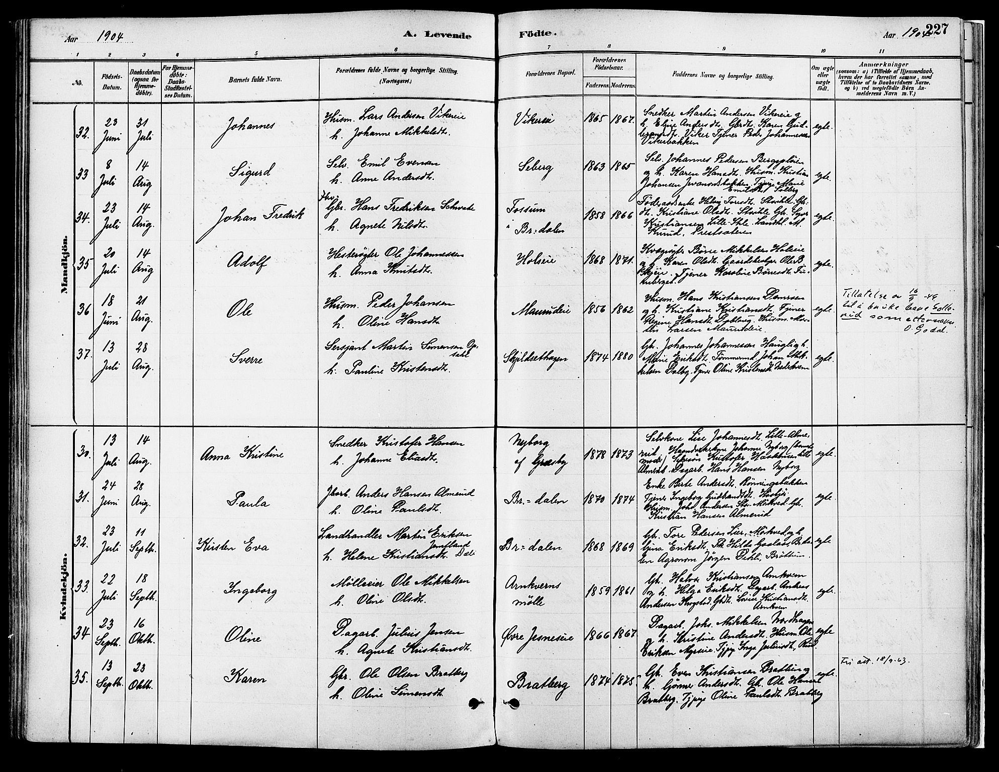 Vang prestekontor, Hedmark, SAH/PREST-008/H/Ha/Haa/L0018A: Parish register (official) no. 18A, 1880-1906, p. 227