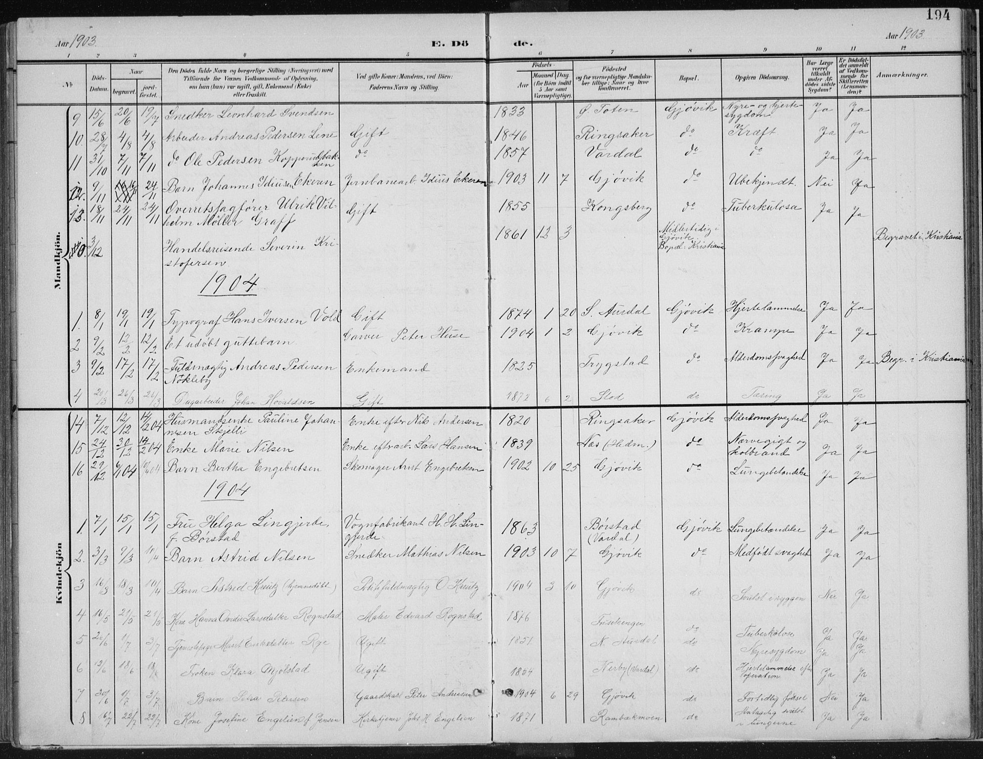 Vardal prestekontor, SAH/PREST-100/H/Ha/Haa/L0013: Parish register (official) no. 13, 1901-1911, p. 194