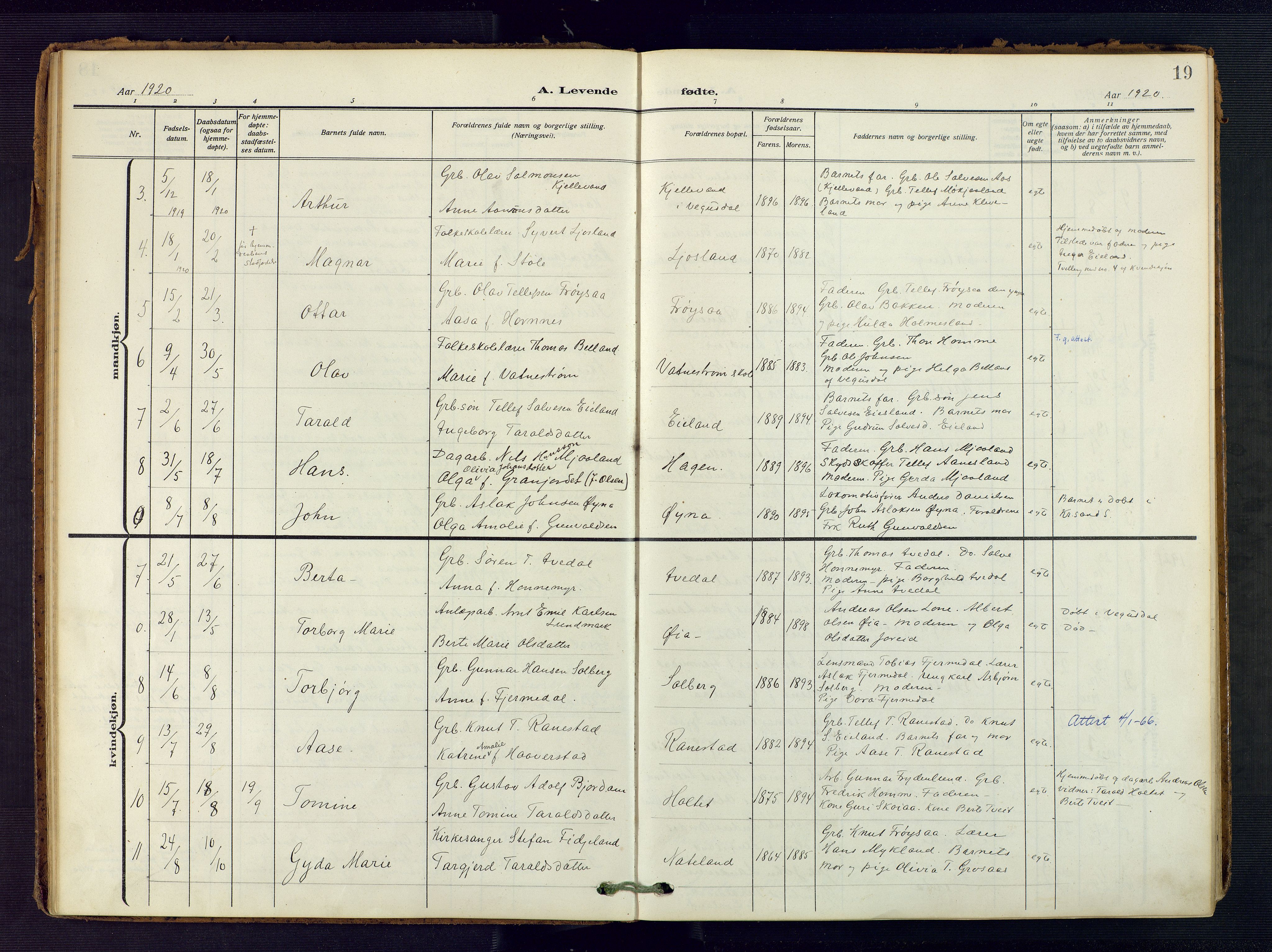 Evje sokneprestkontor, AV/SAK-1111-0008/F/Fa/Fac/L0004: Parish register (official) no. A 4, 1910-1932, p. 19