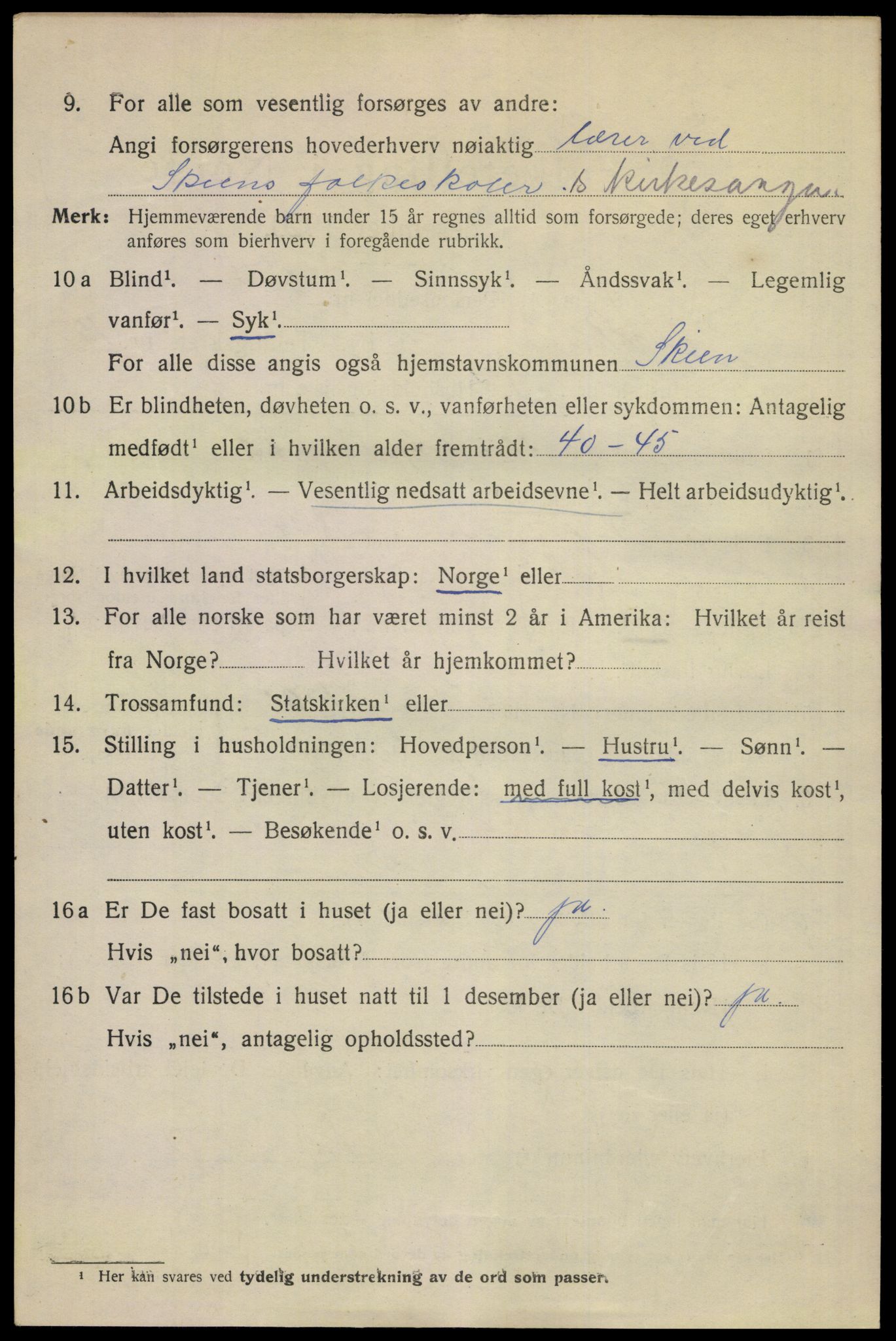 SAKO, 1920 census for Skien, 1920, p. 45717