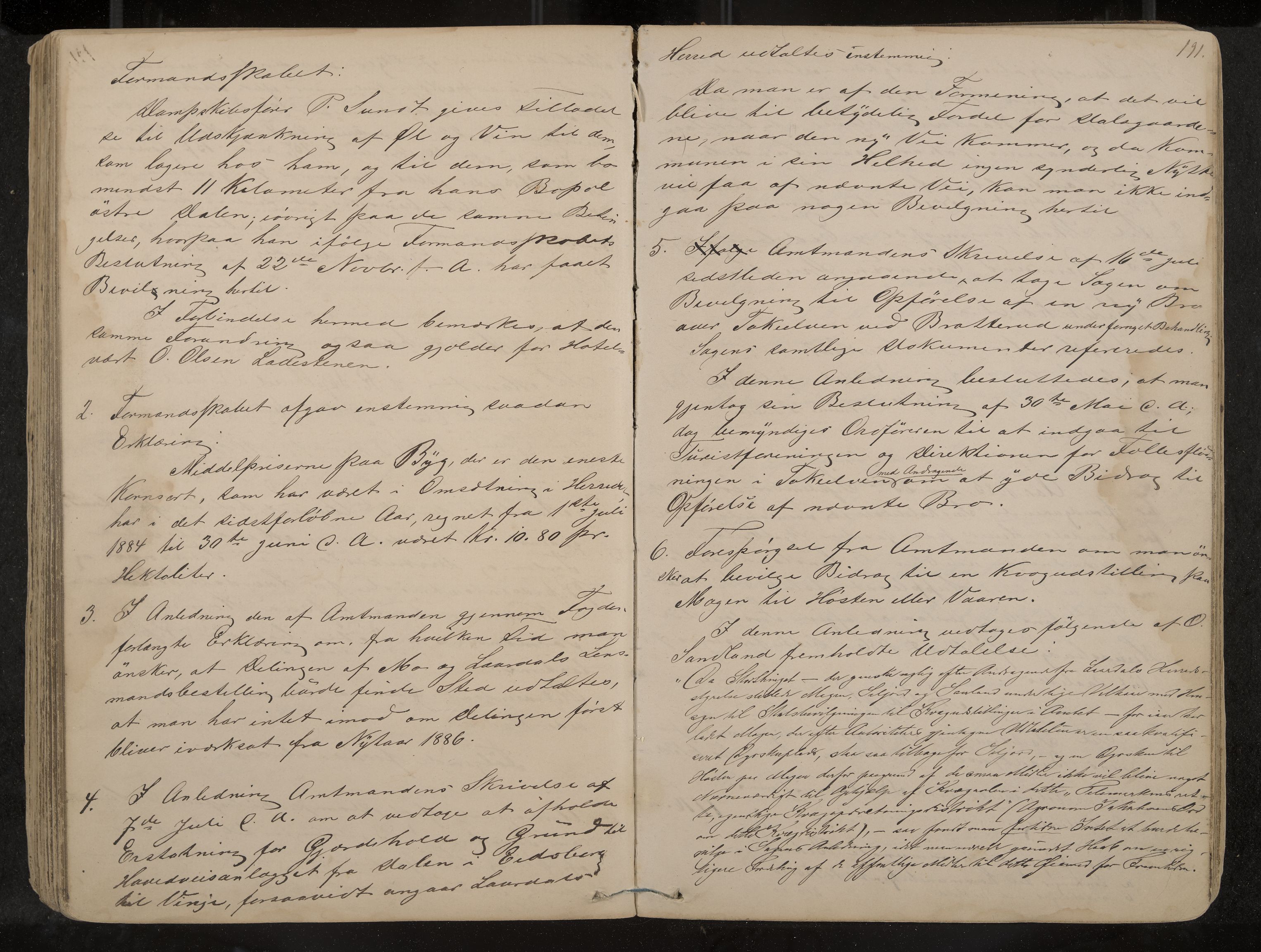 Lårdal formannskap og sentraladministrasjon, IKAK/0833021/A/L0002: Møtebok, 1865-1893, p. 191