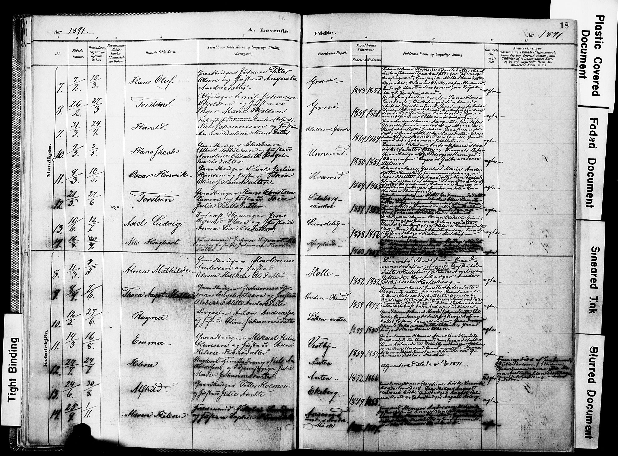 Spydeberg prestekontor Kirkebøker, AV/SAO-A-10924/F/Fa/L0008: Parish register (official) no. I 8, 1886-1900, p. 18