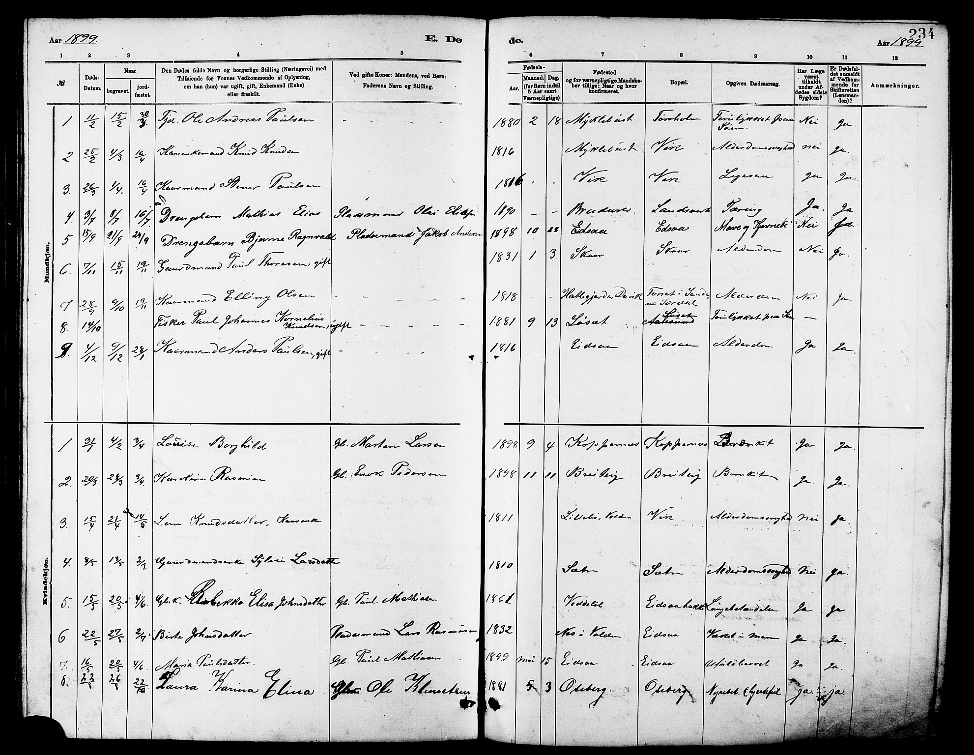 Ministerialprotokoller, klokkerbøker og fødselsregistre - Møre og Romsdal, AV/SAT-A-1454/502/L0027: Parish register (copy) no. 502C01, 1878-1908, p. 234