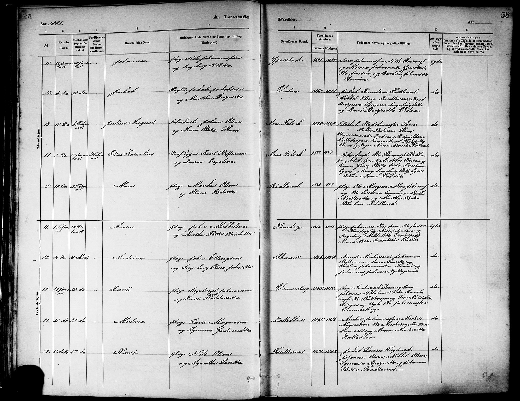 Haus sokneprestembete, AV/SAB-A-75601/H/Haa: Parish register (official) no. A 19I, 1878-1886, p. 58