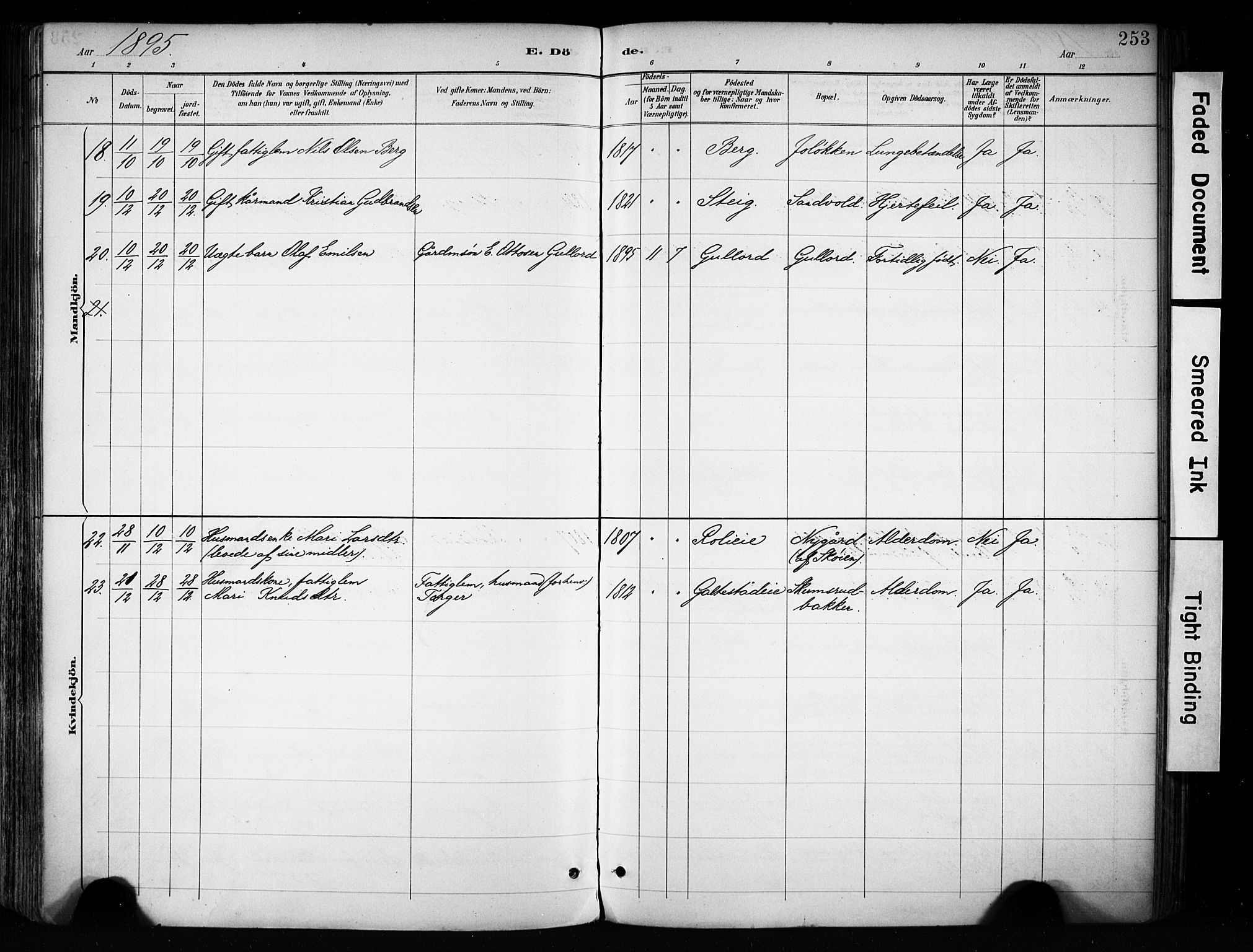 Biri prestekontor, AV/SAH-PREST-096/H/Ha/Haa/L0009: Parish register (official) no. 9, 1887-1900, p. 253