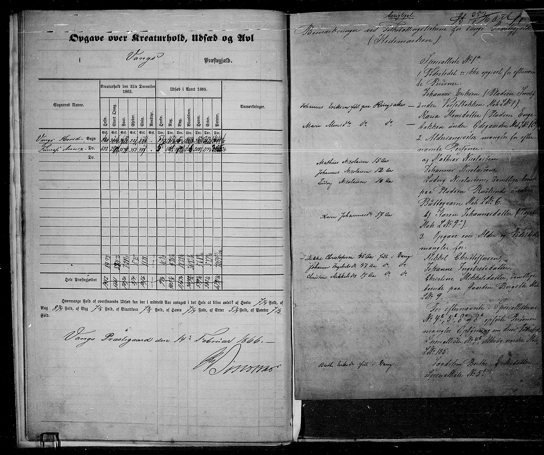 RA, 1865 census for Vang/Vang og Furnes, 1865, p. 13