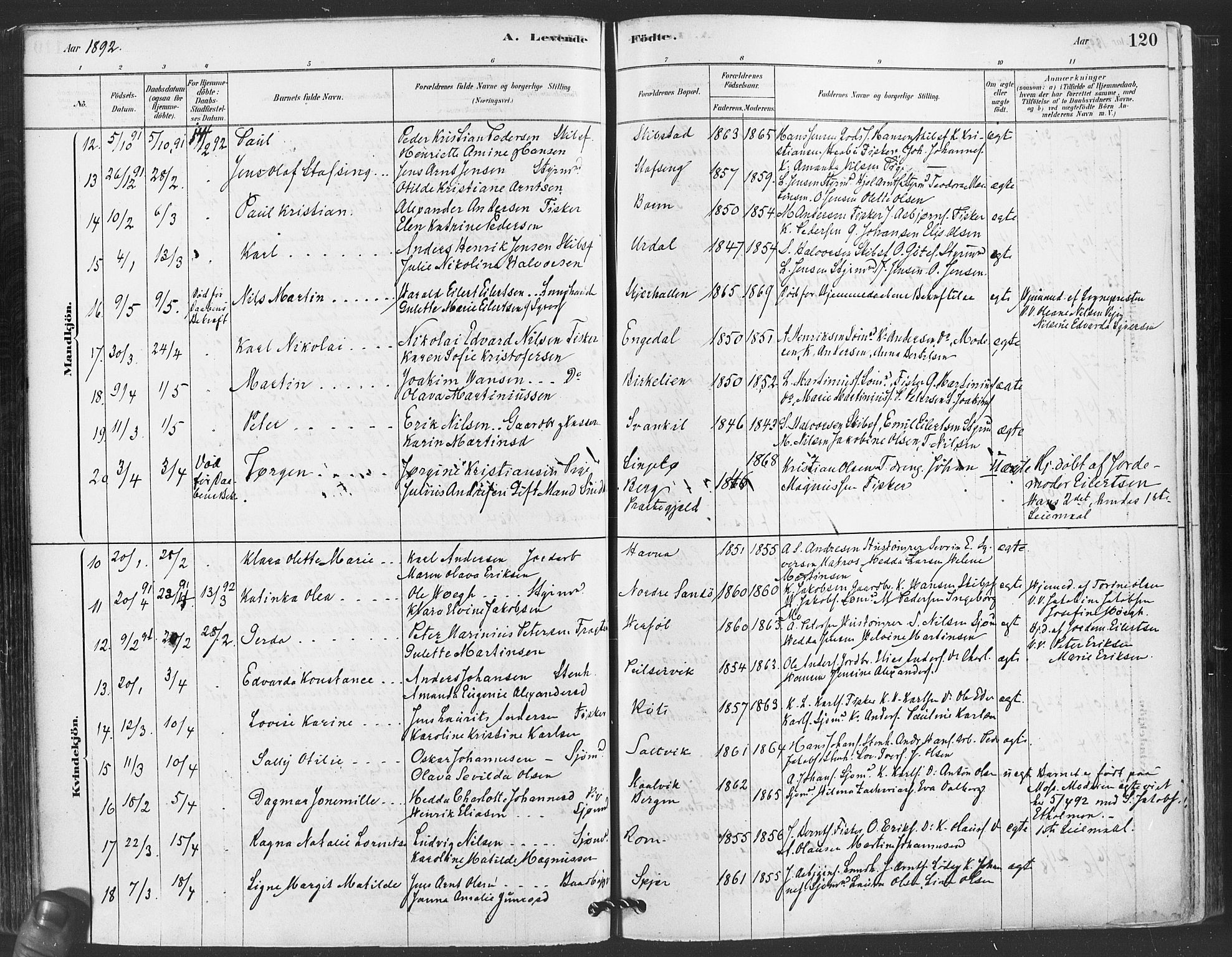 Hvaler prestekontor Kirkebøker, AV/SAO-A-2001/F/Fa/L0008: Parish register (official) no. I 8, 1878-1895, p. 120