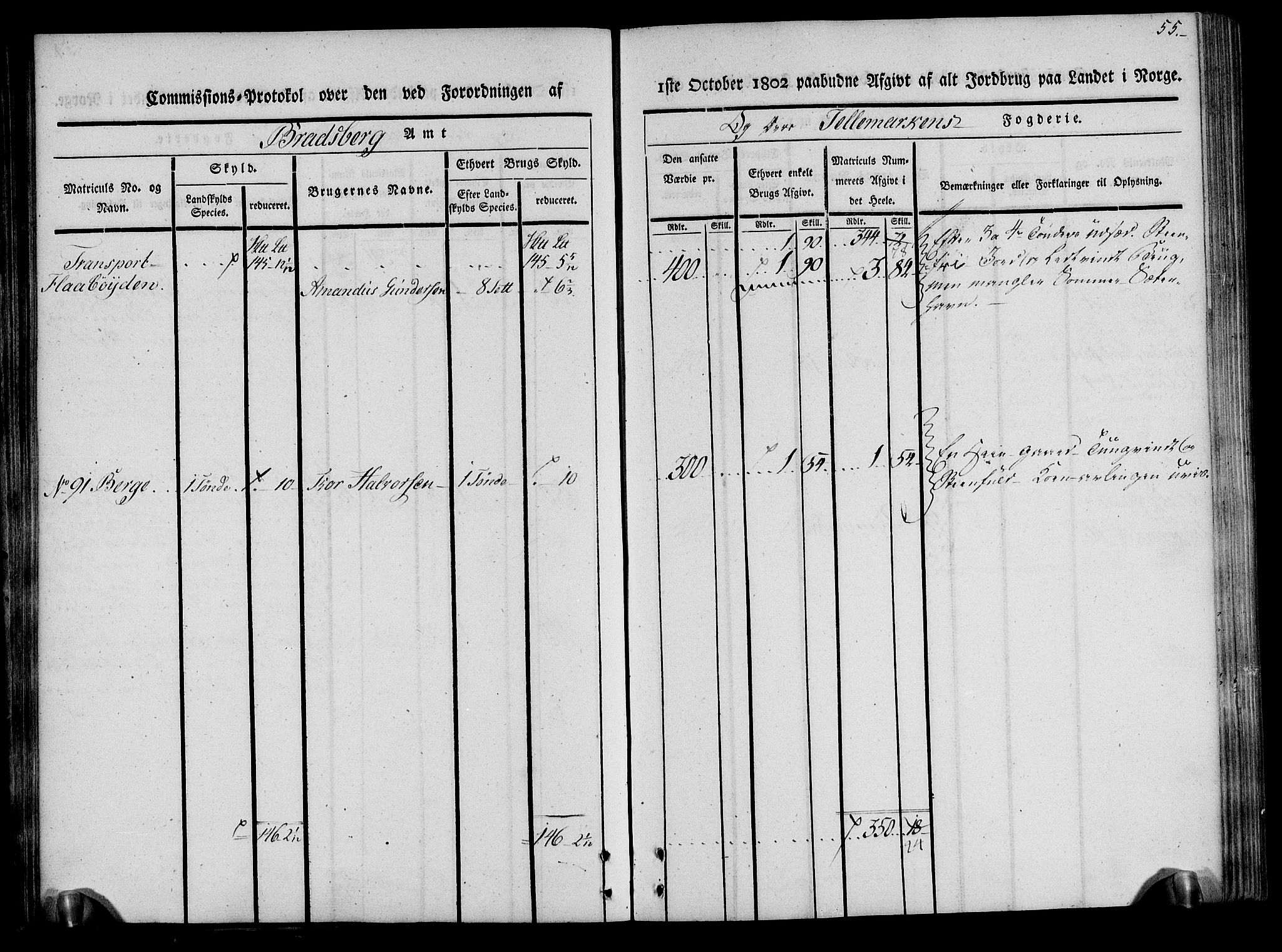 Rentekammeret inntil 1814, Realistisk ordnet avdeling, AV/RA-EA-4070/N/Ne/Nea/L0075: Øvre Telemarken fogderi. Kommisjonsprotokoll for fogderiets vestre del - Kviteseid, Vinje, Moland [):Fyresdal] og Lårdal prestegjeld., 1803, p. 55