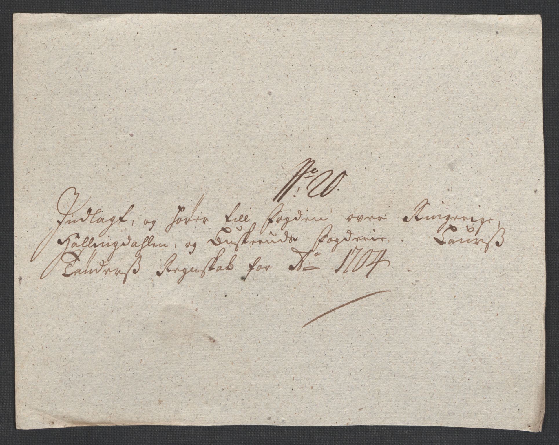 Rentekammeret inntil 1814, Reviderte regnskaper, Fogderegnskap, AV/RA-EA-4092/R22/L1463: Fogderegnskap Ringerike, Hallingdal og Buskerud, 1704, p. 304