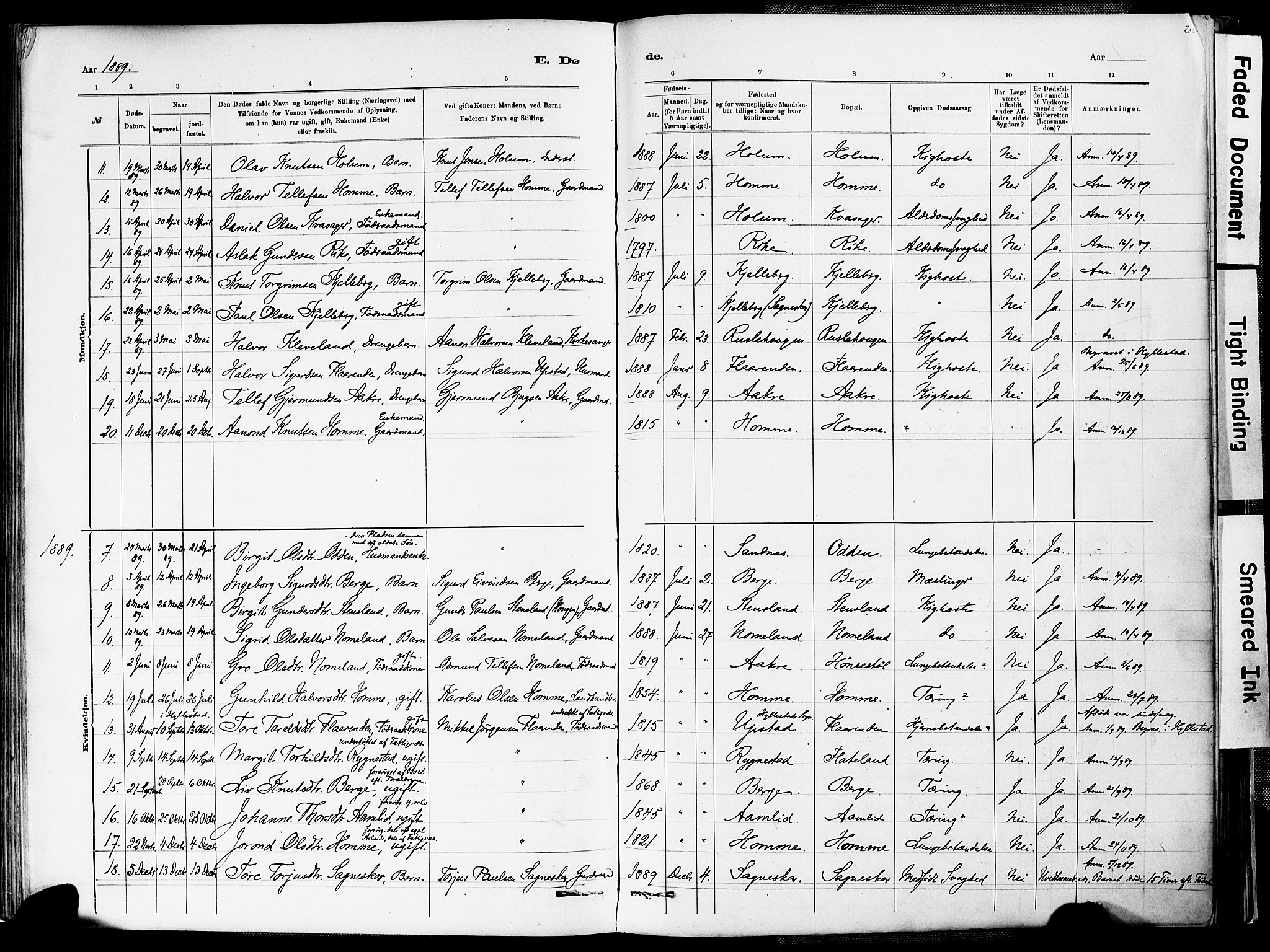 Valle sokneprestkontor, AV/SAK-1111-0044/F/Fa/Fac/L0009: Parish register (official) no. A 9, 1882-1913, p. 206