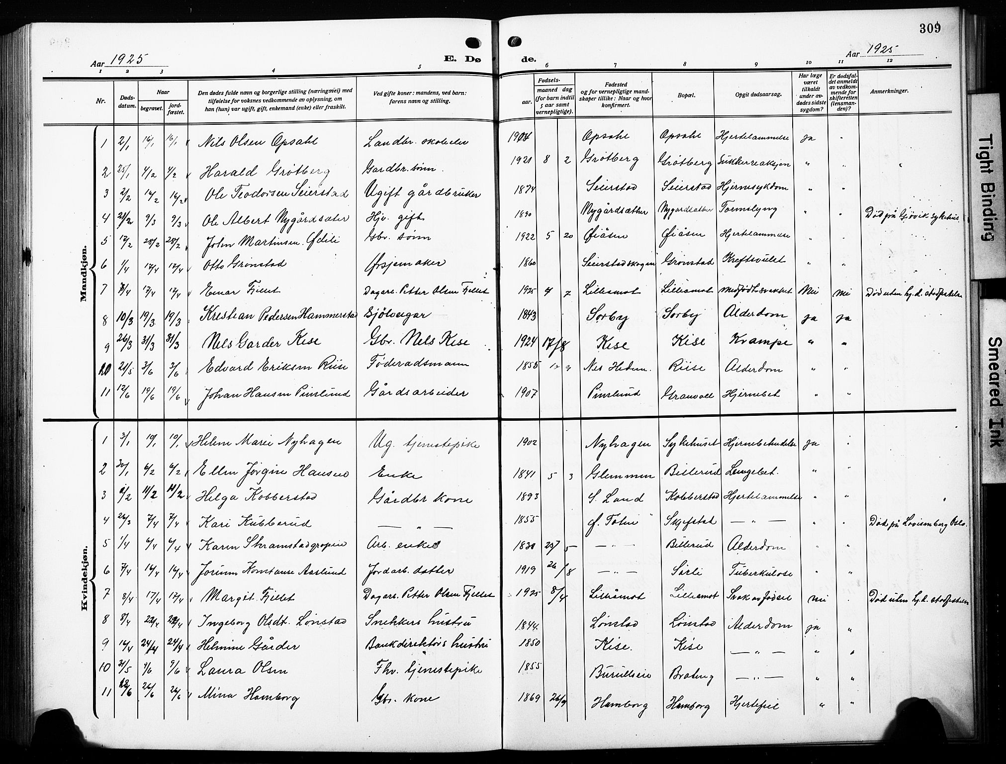 Østre Toten prestekontor, SAH/PREST-104/H/Ha/Hab/L0010: Parish register (copy) no. 10, 1912-1933, p. 309