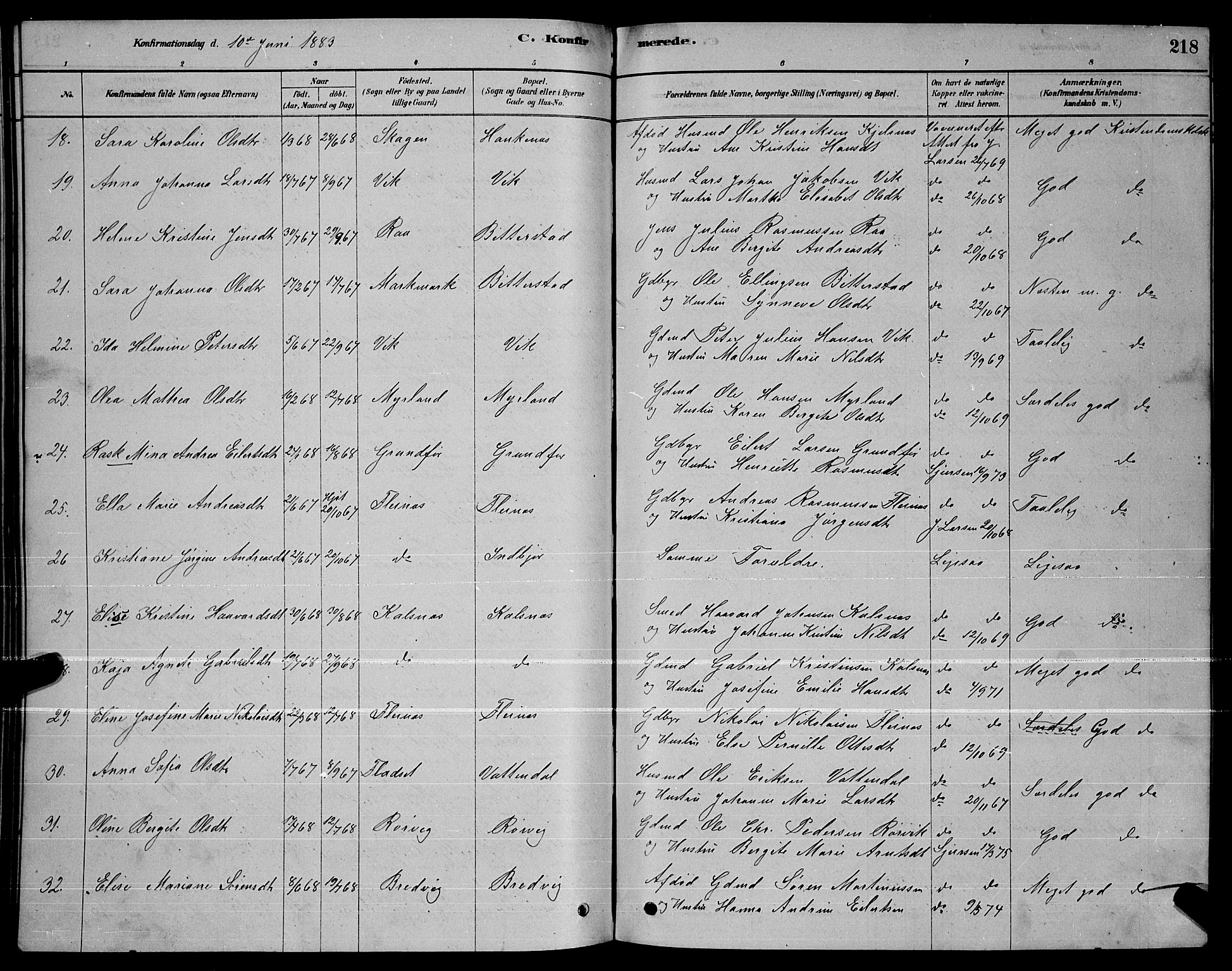 Ministerialprotokoller, klokkerbøker og fødselsregistre - Nordland, AV/SAT-A-1459/888/L1267: Parish register (copy) no. 888C05, 1878-1890, p. 218