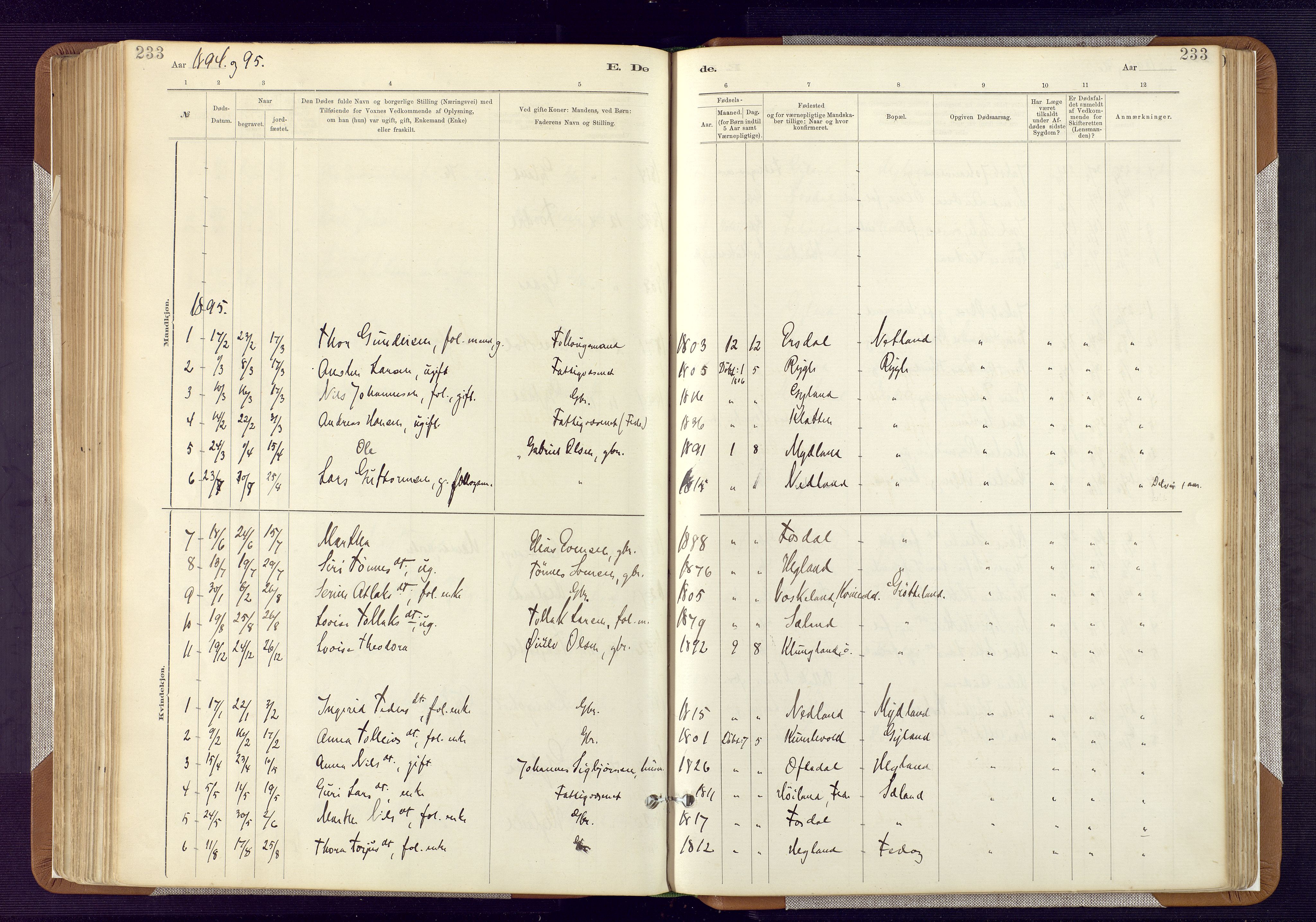 Bakke sokneprestkontor, SAK/1111-0002/F/Fa/Fab/L0003: Parish register (official) no. A 3, 1884-1921, p. 233