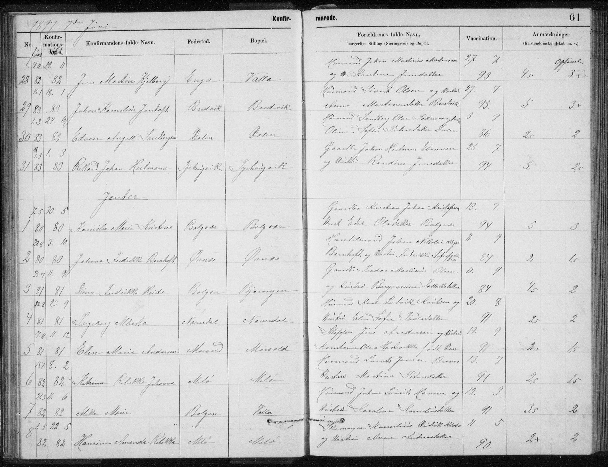 Ministerialprotokoller, klokkerbøker og fødselsregistre - Nordland, AV/SAT-A-1459/843/L0637: Parish register (copy) no. 843C06, 1884-1908, p. 61