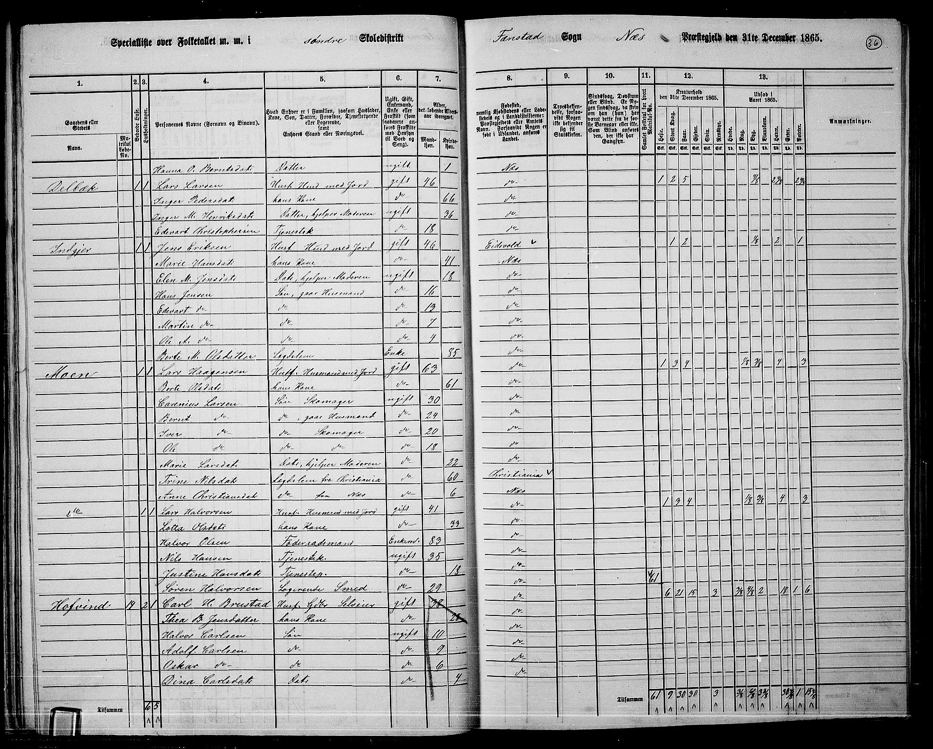 RA, 1865 census for Nes, 1865, p. 33