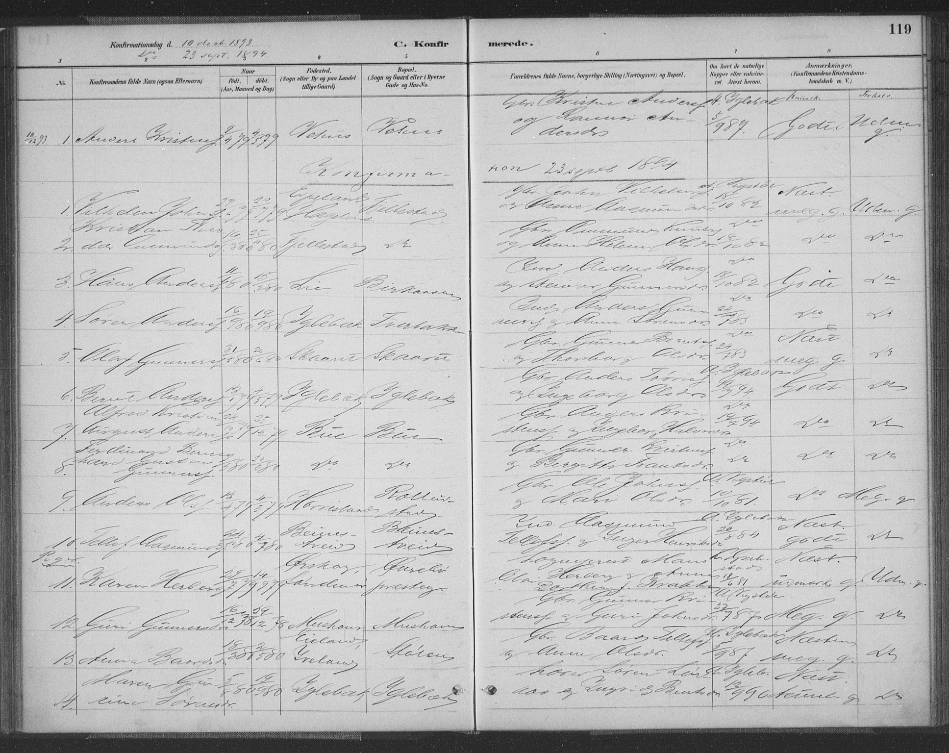 Vennesla sokneprestkontor, AV/SAK-1111-0045/Fa/Fac/L0009: Parish register (official) no. A 9, 1884-1901, p. 119