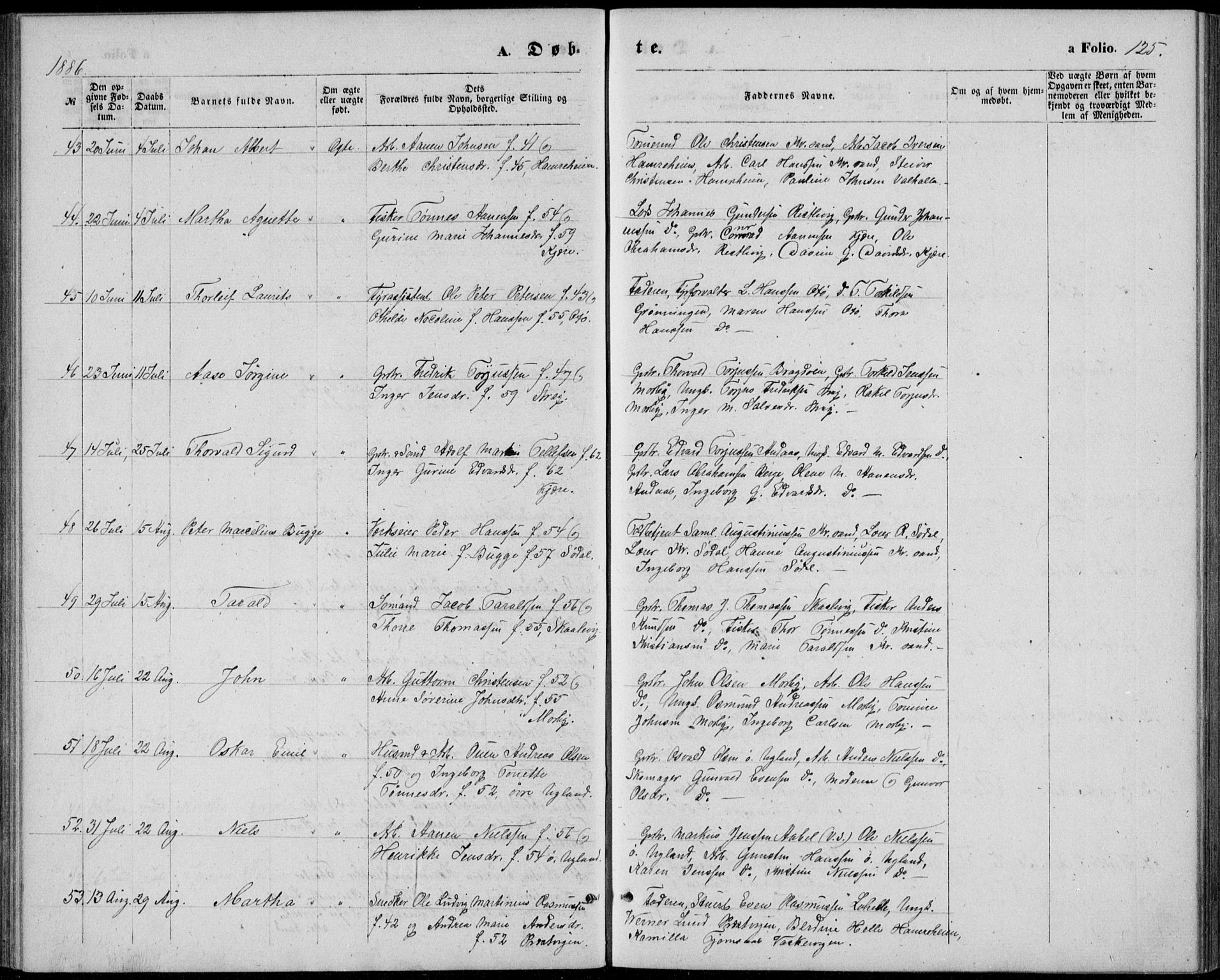 Oddernes sokneprestkontor, SAK/1111-0033/F/Fb/Fba/L0007: Parish register (copy) no. B 7, 1869-1887, p. 125