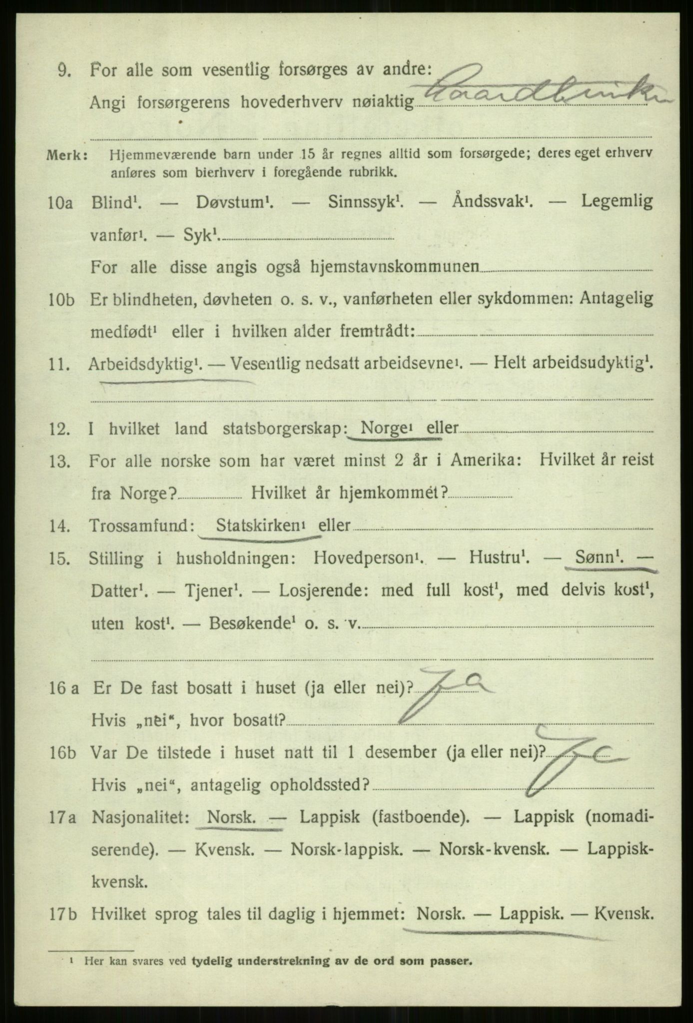 SATØ, 1920 census for Tromsøysund, 1920, p. 13849
