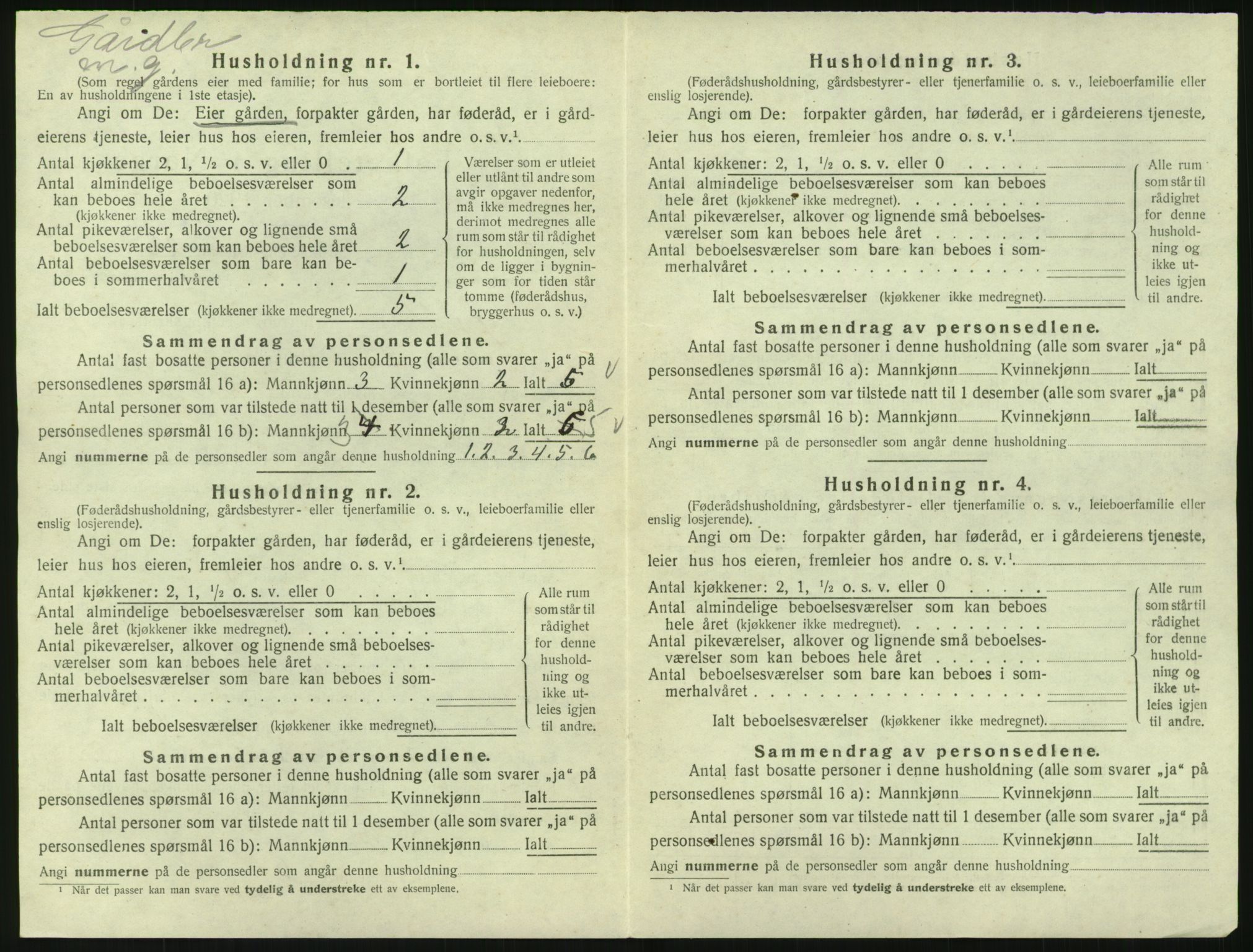 SAK, 1920 census for Øyslebø, 1920, p. 451