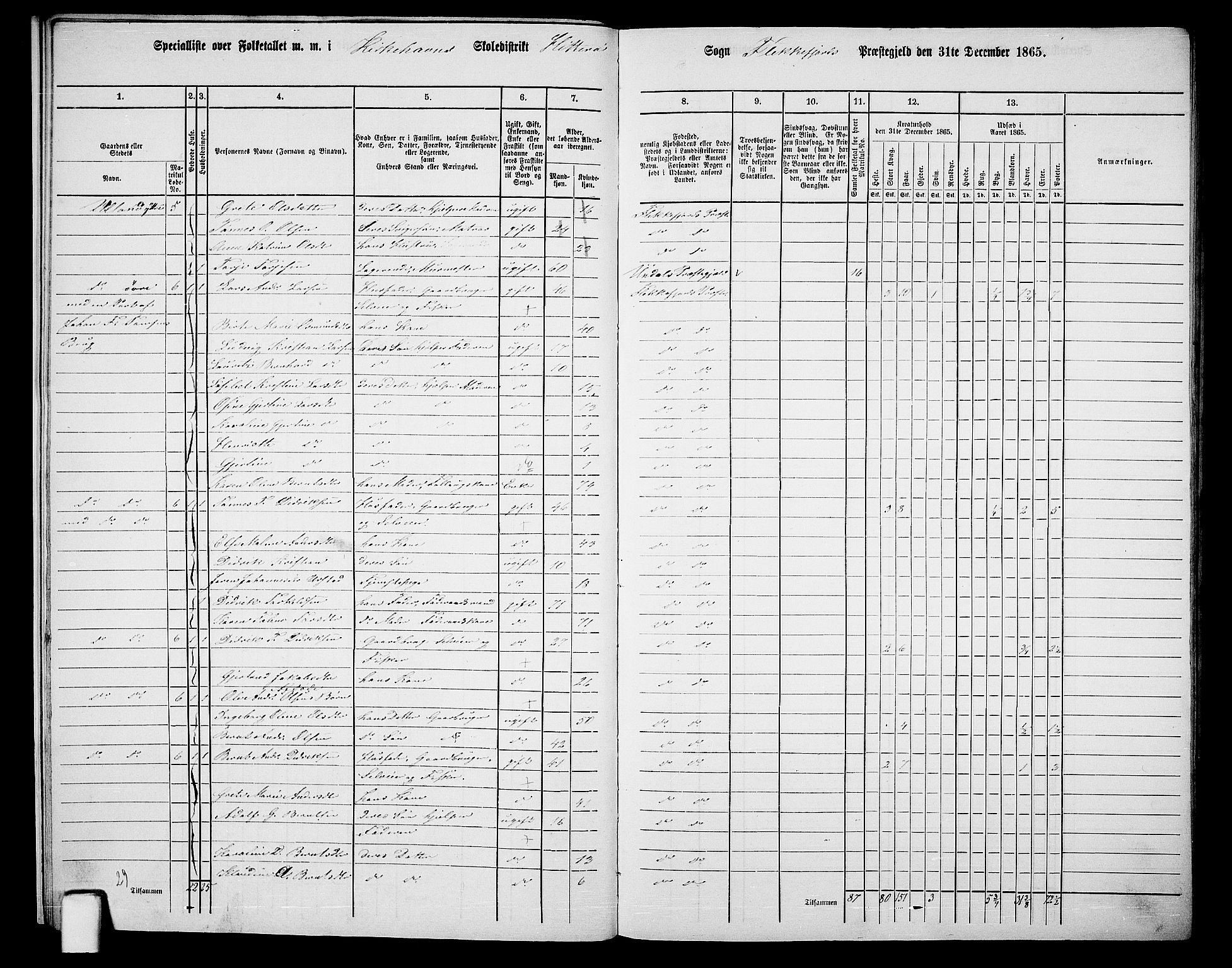 RA, 1865 census for Flekkefjord/Nes og Hidra, 1865, p. 13