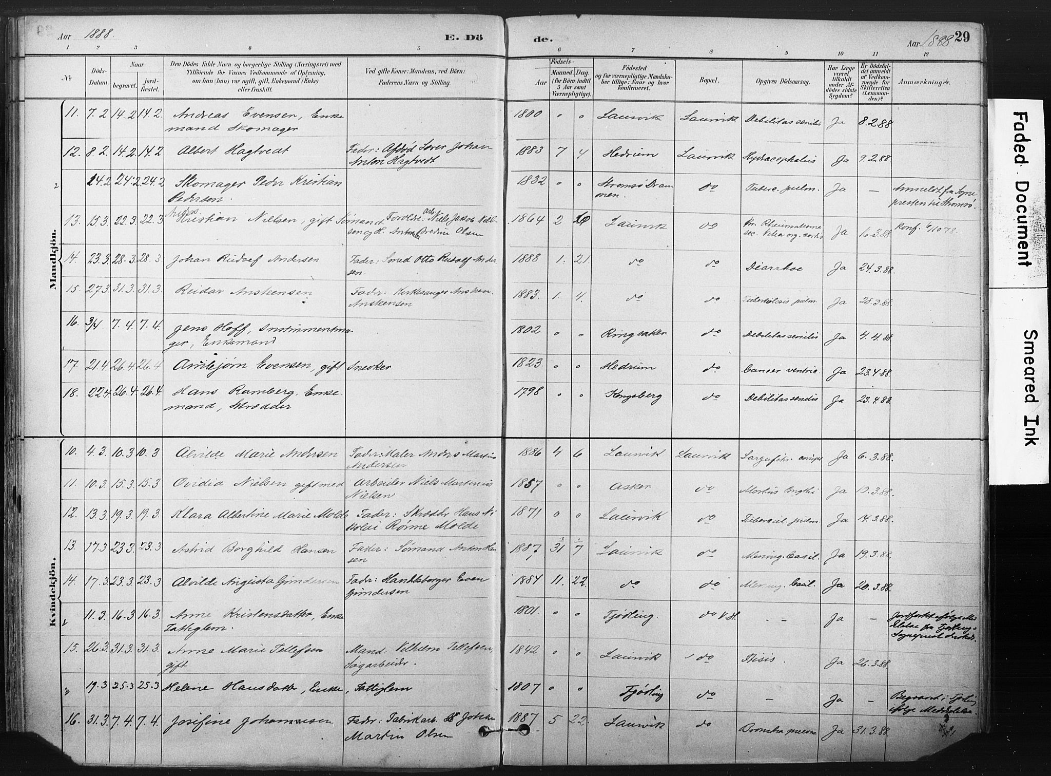 Larvik kirkebøker, AV/SAKO-A-352/F/Fa/L0010: Parish register (official) no. I 10, 1884-1910, p. 29