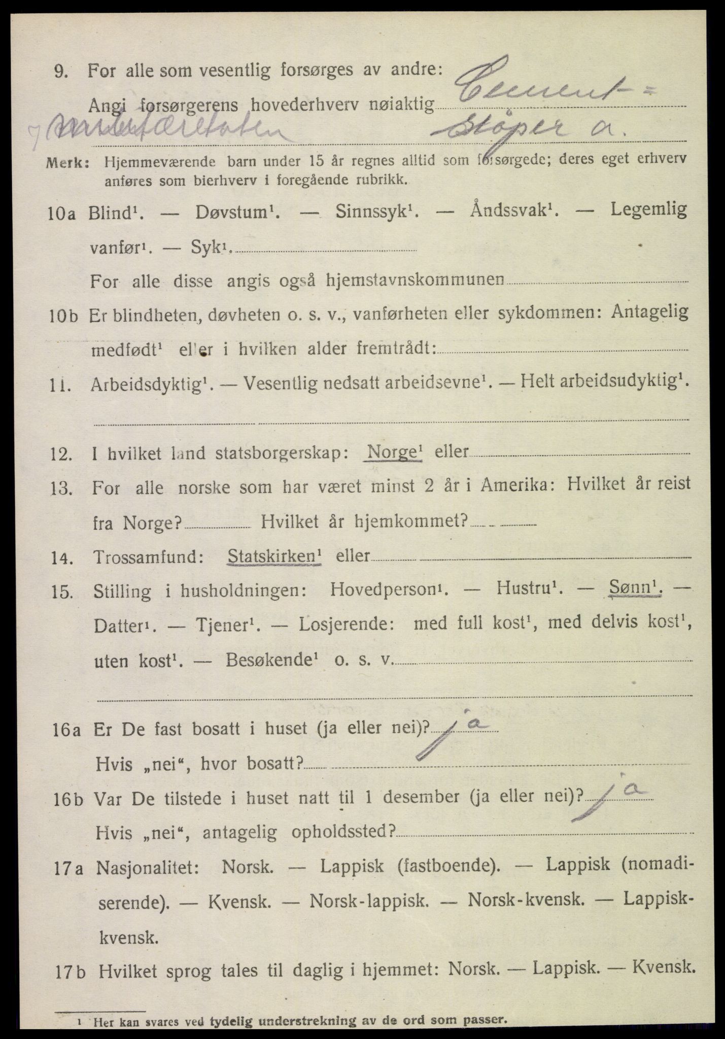 SAT, 1920 census for Stjørdal, 1920, p. 6913