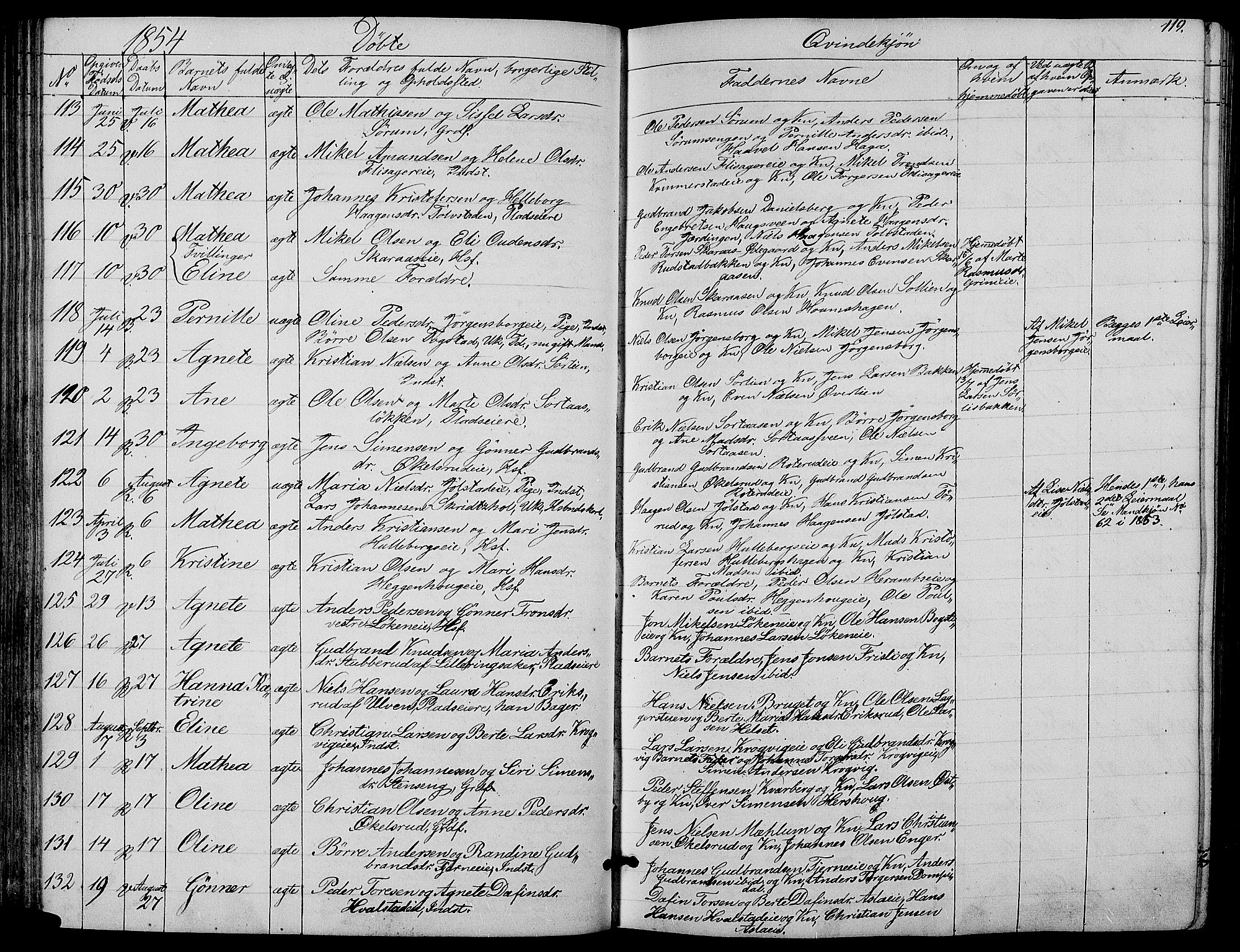 Ringsaker prestekontor, AV/SAH-PREST-014/L/La/L0006: Parish register (copy) no. 6, 1851-1860, p. 119