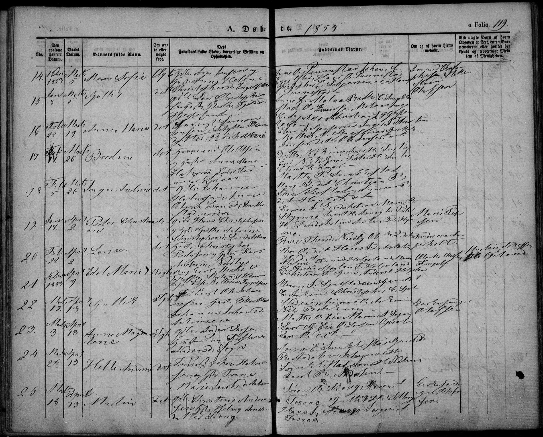 Lardal kirkebøker, AV/SAKO-A-350/F/Fa/L0006: Parish register (official) no. I 6, 1835-1860, p. 119