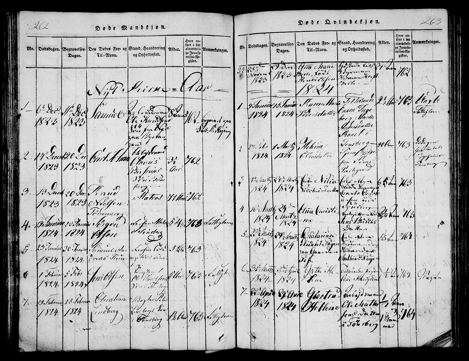 Tønsberg kirkebøker, AV/SAKO-A-330/F/Fa/L0004: Parish register (official) no. I 4, 1813-1826, p. 262-263